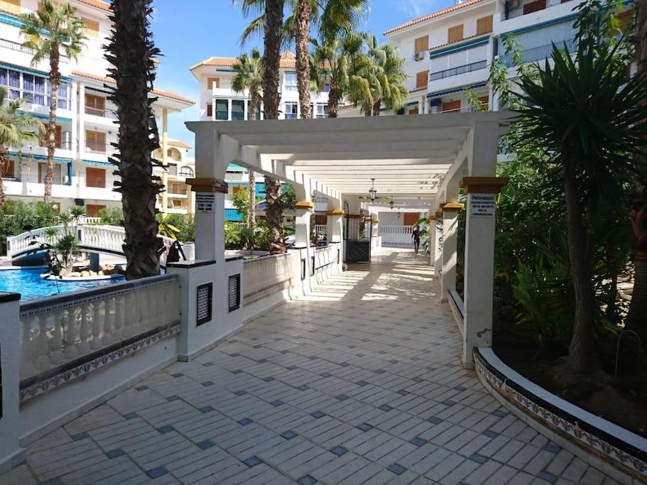 Apartment near La Mata beach photo 2