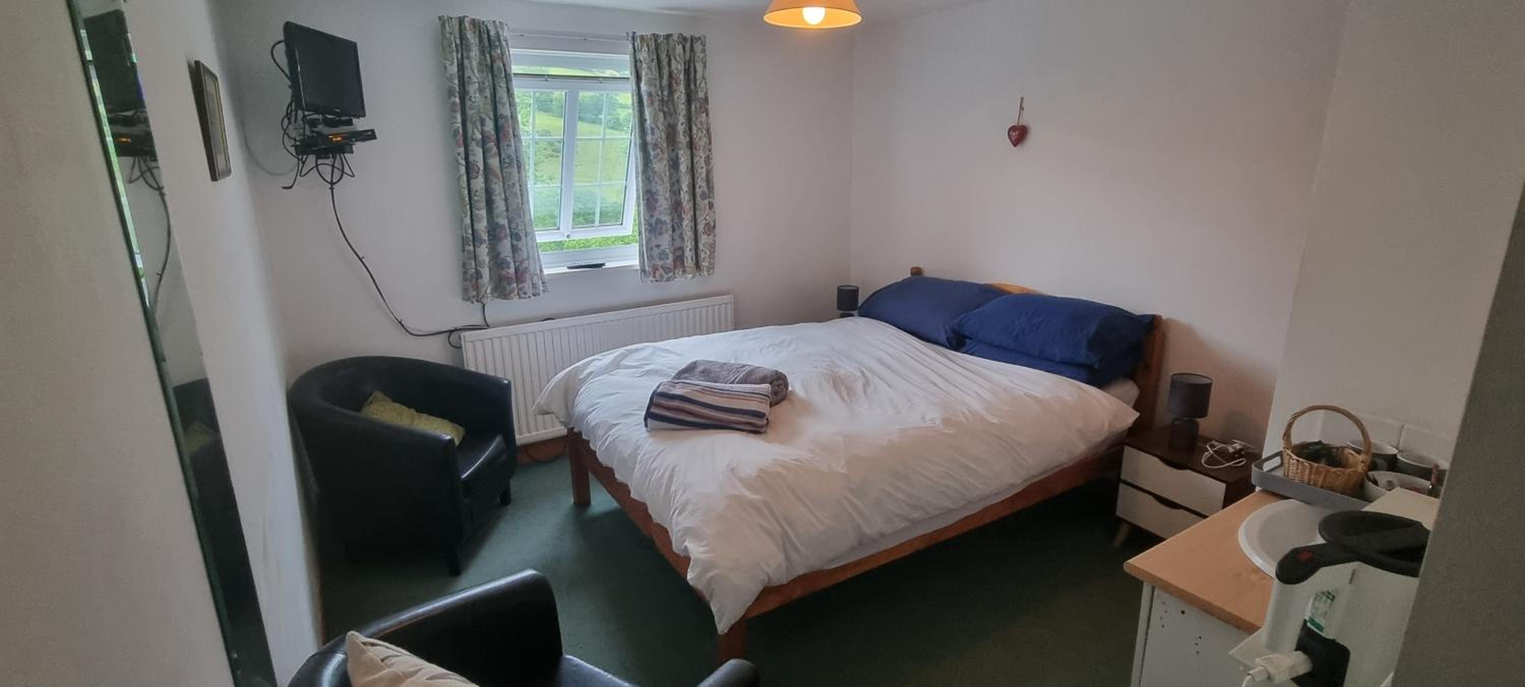 Dinas Castle Inn (The Dragons Back) view 5