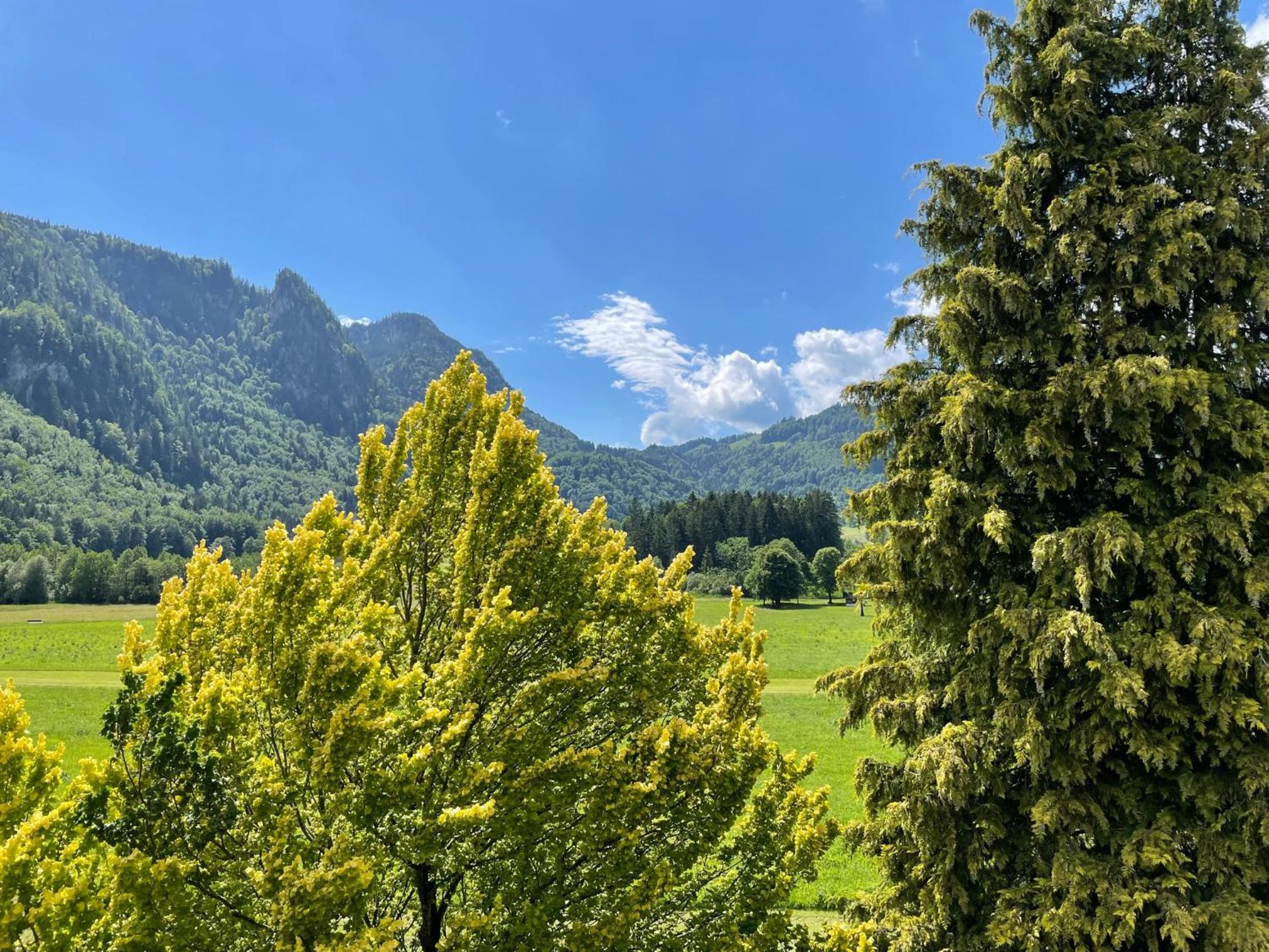 Geräumiges Domizil mit Bergblick view 2