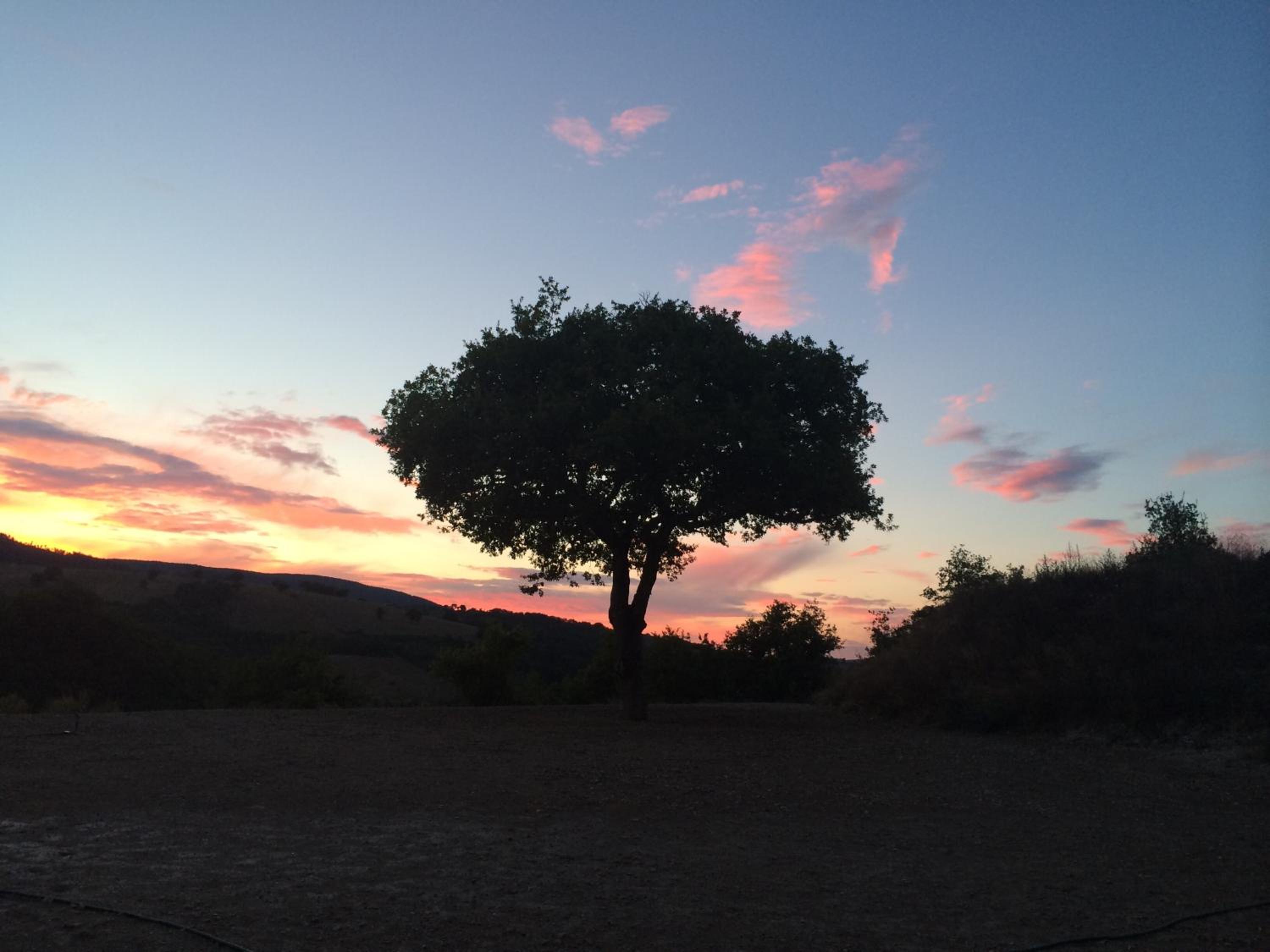 Agriturismo La Vita è Bella