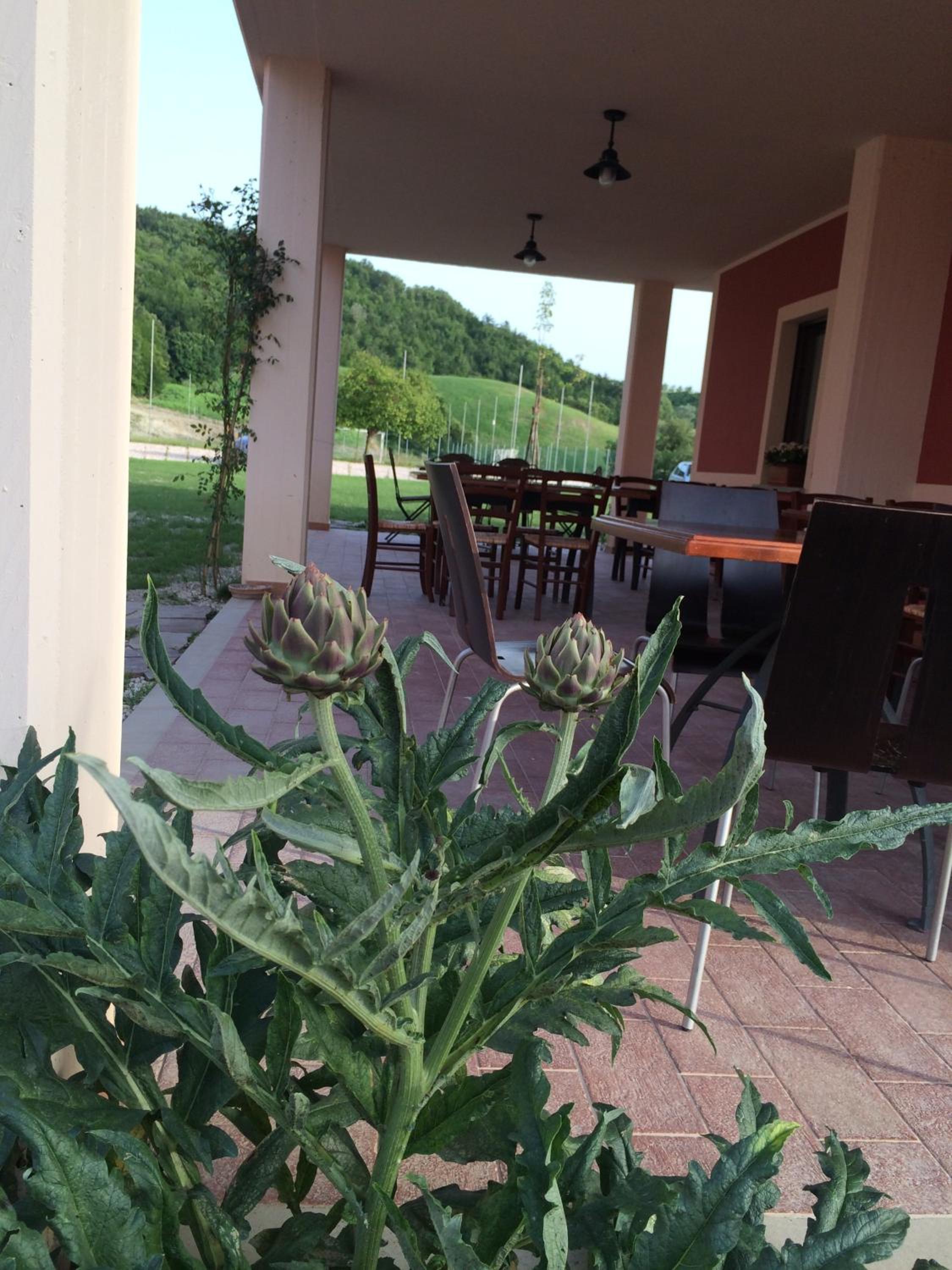 Agriturismo La Vita è Bella