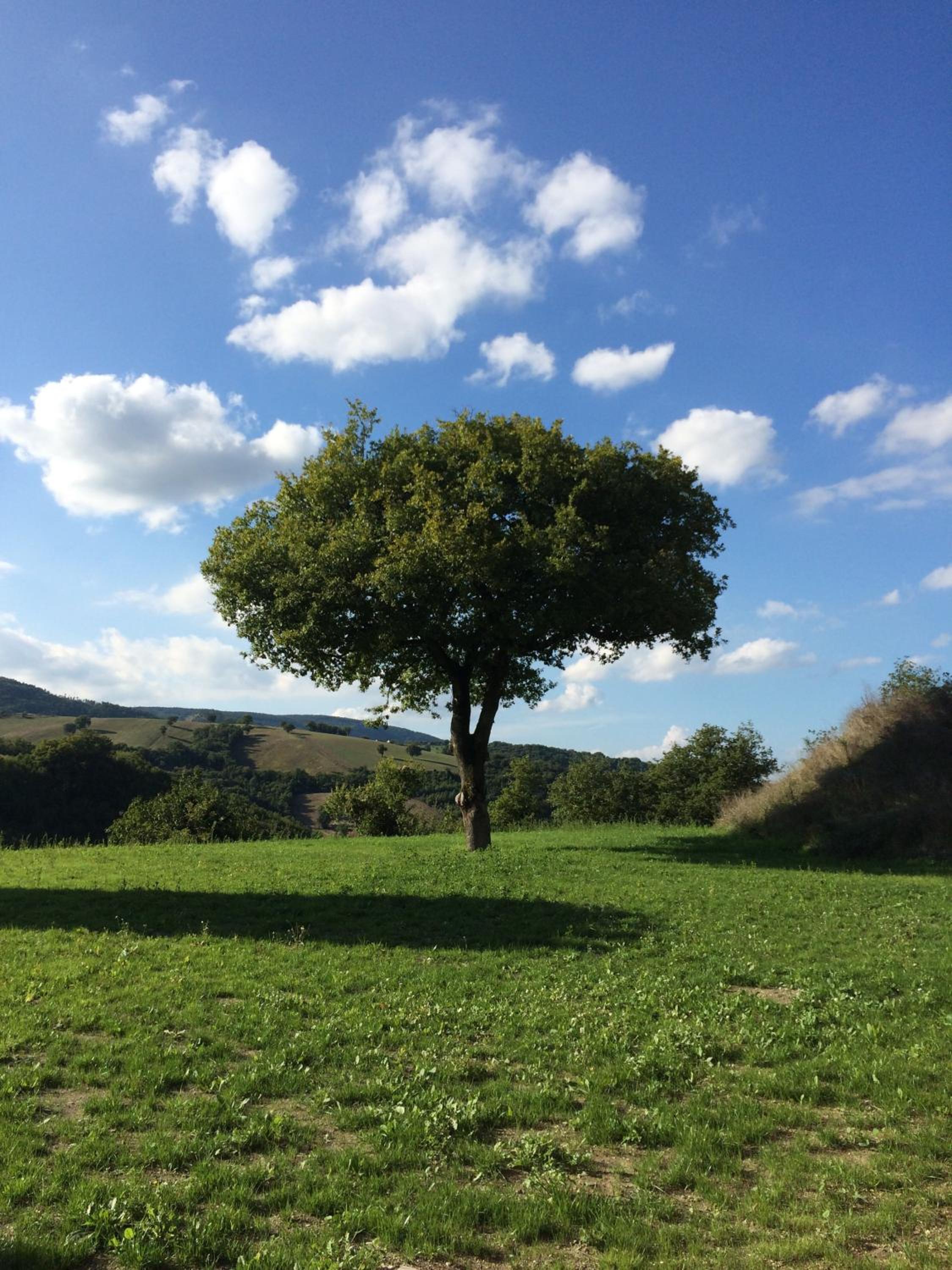 Agriturismo La Vita è Bella