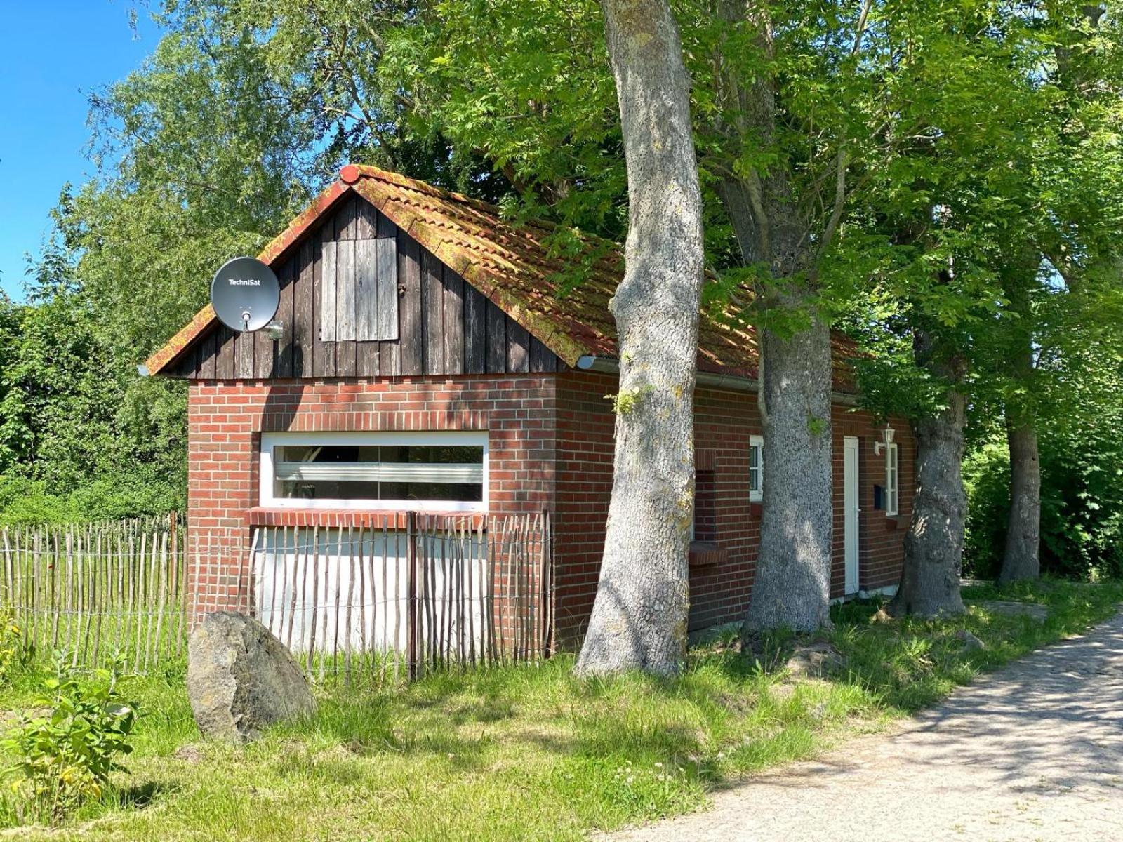 Hofgut Bisdamitz - Ferienhaus 