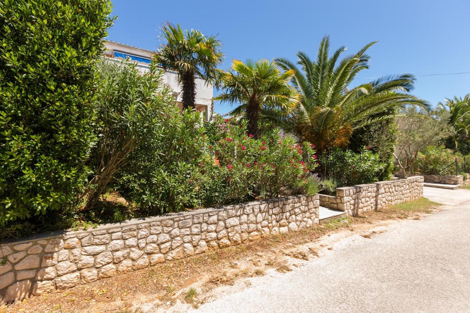 Apartments Nives, Artatore view 3