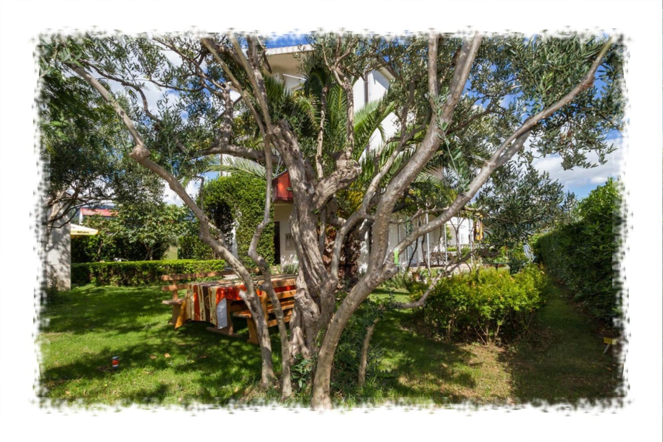 Hostel Oktarin