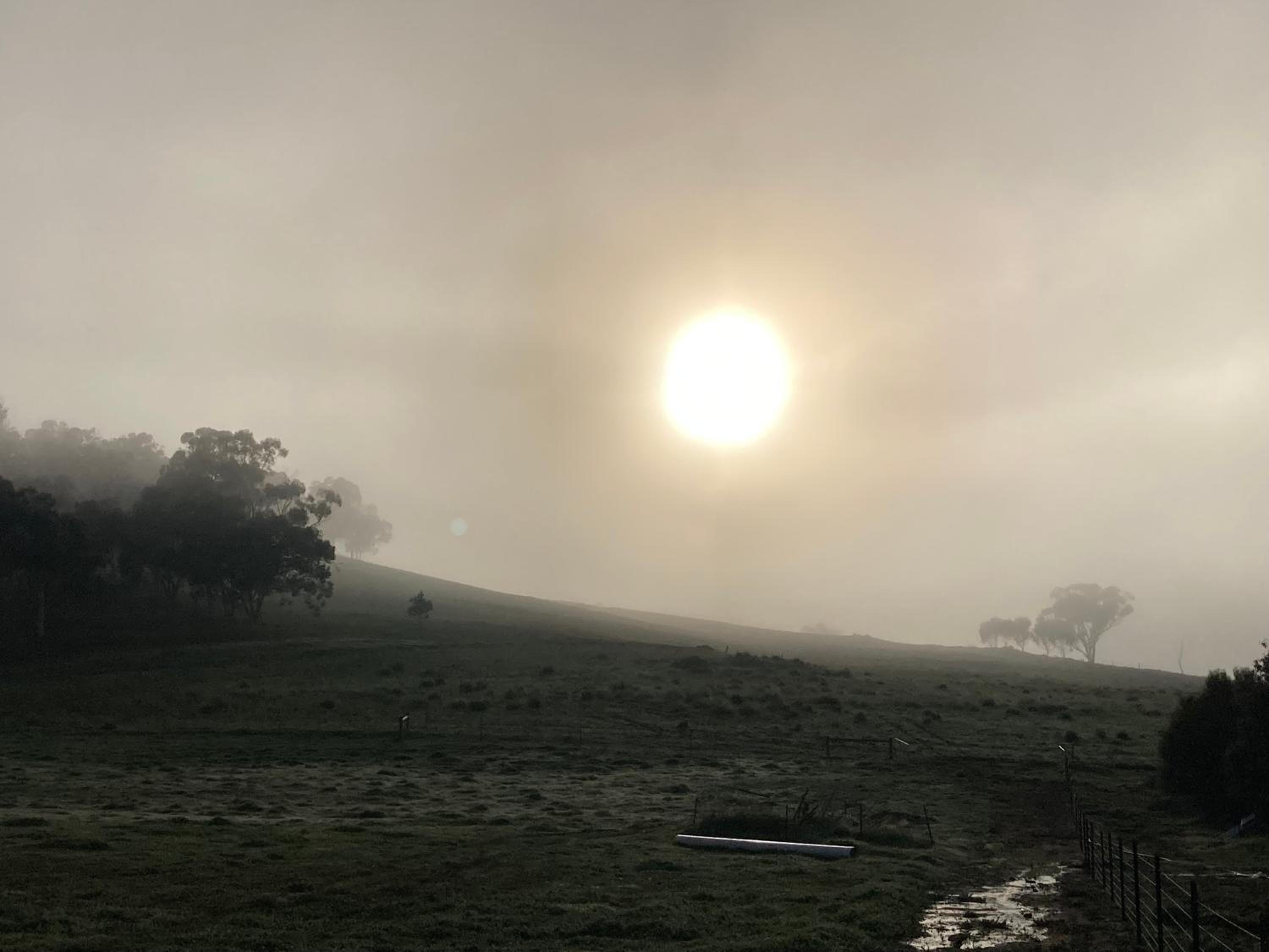 Sandalwood Downs Fabulous Farm Stay TOODYAY