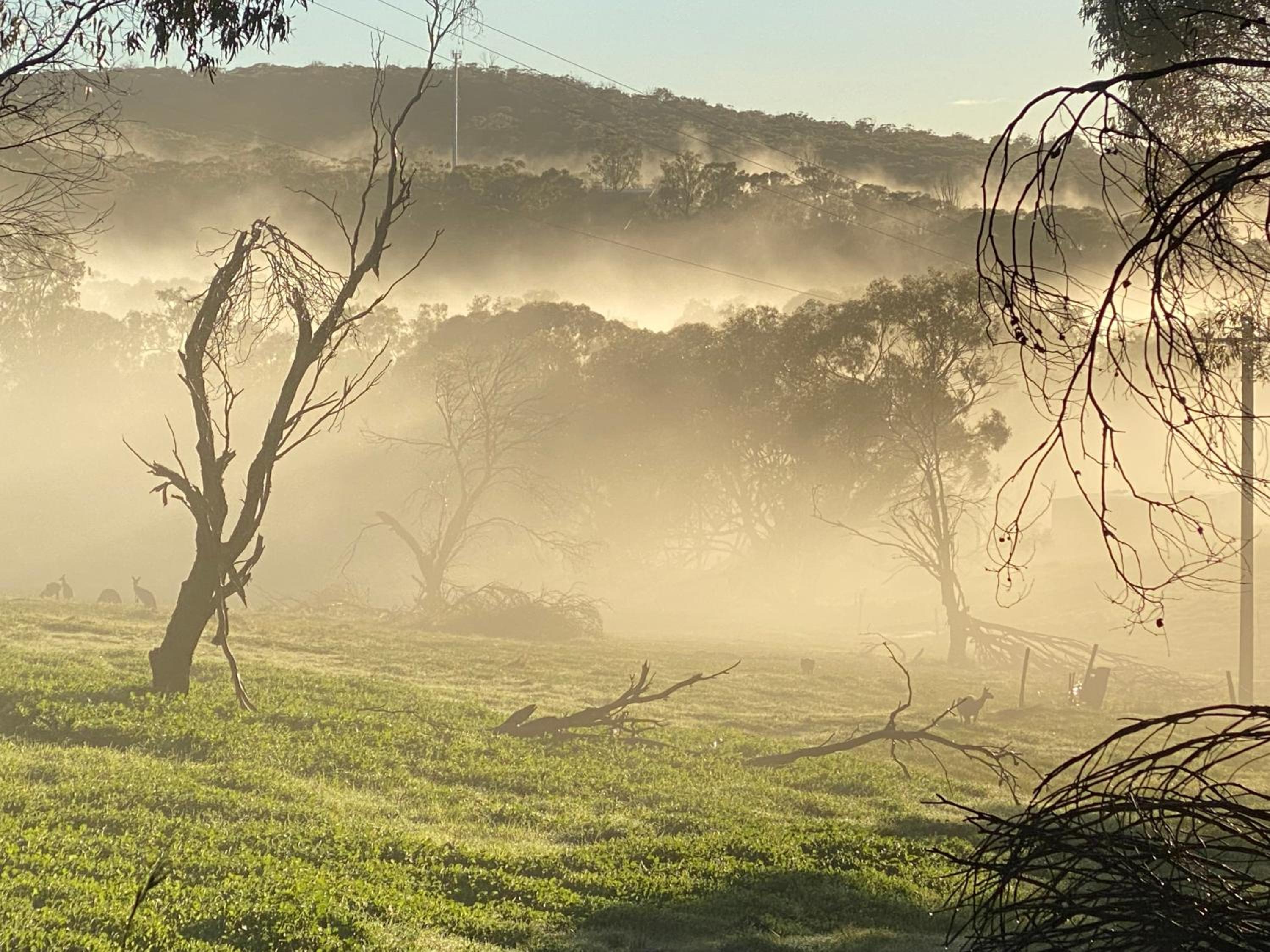 Sandalwood Downs Fabulous Farm Stay TOODYAY