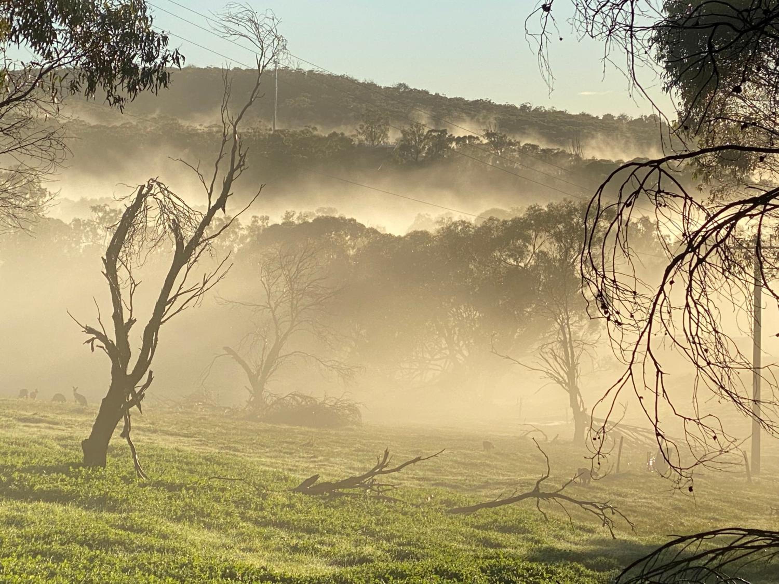 Sandalwood Downs Fabulous Farm Stay TOODYAY