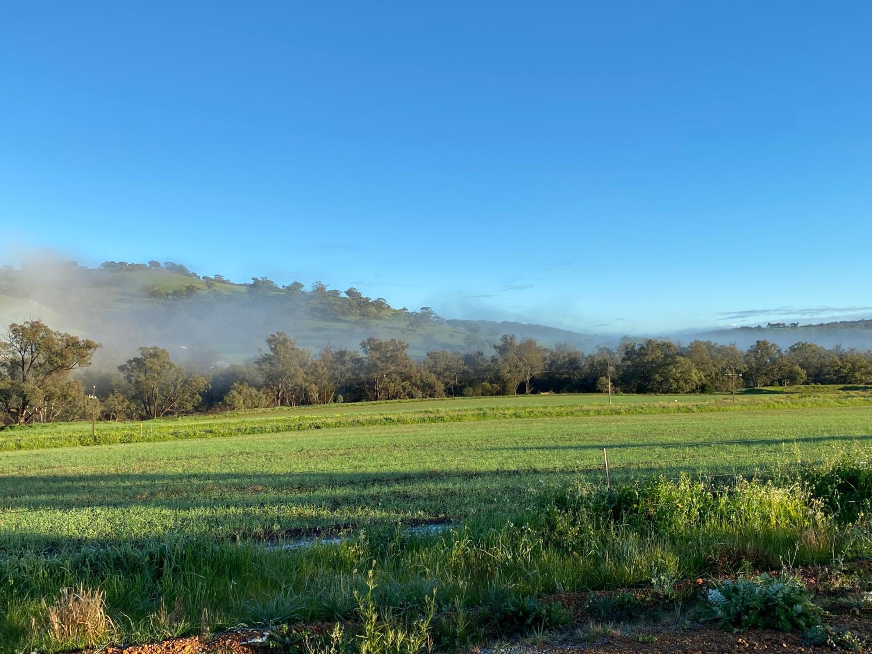 Sandalwood Downs Fabulous Farm Stay TOODYAY