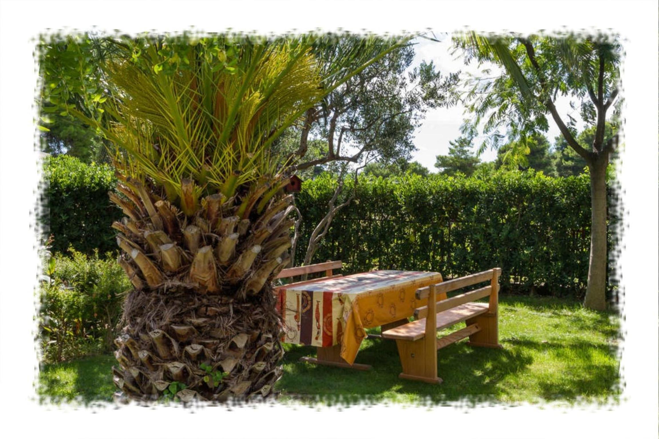 Hostel Oktarin