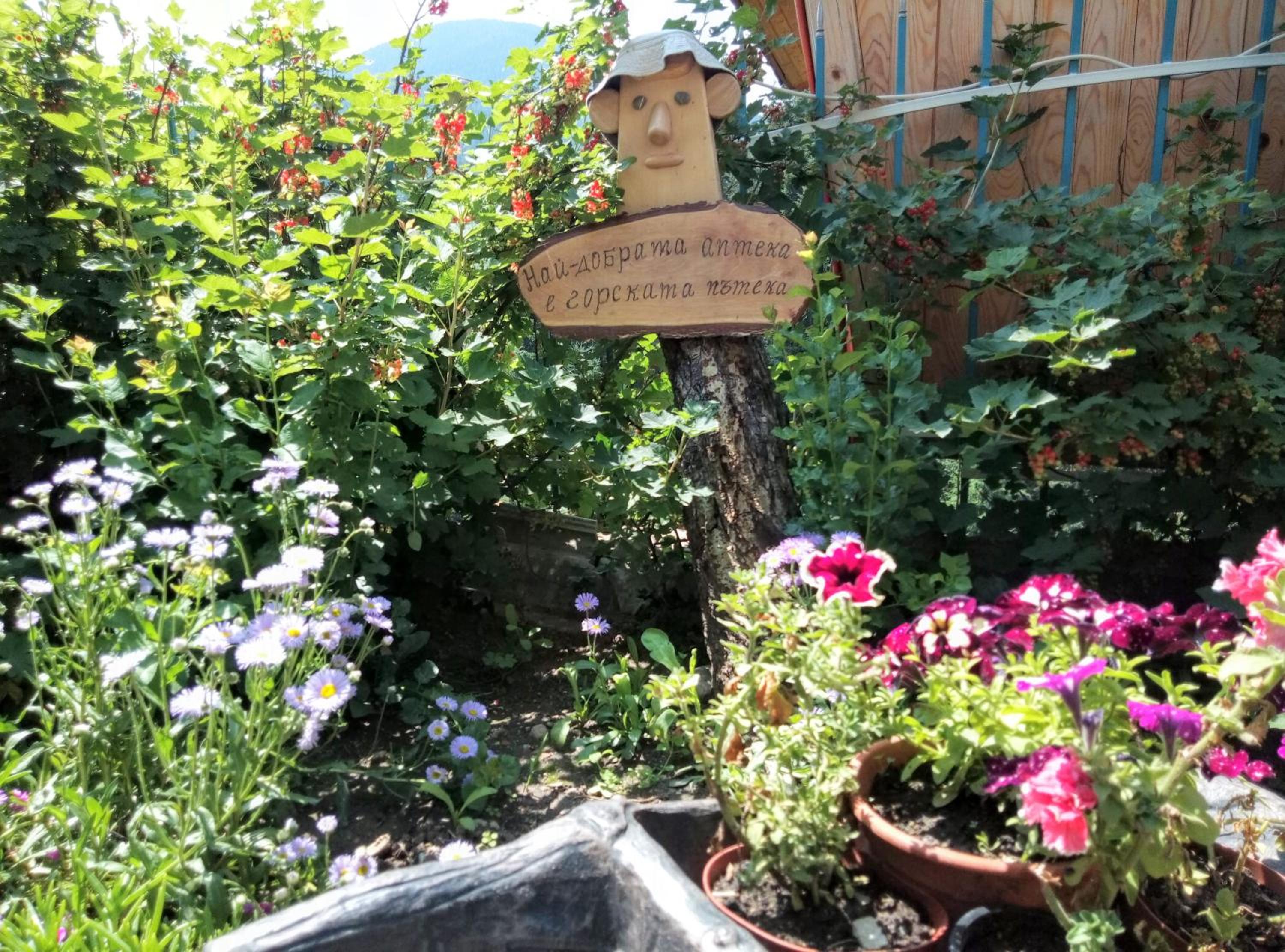 Guest House Milka