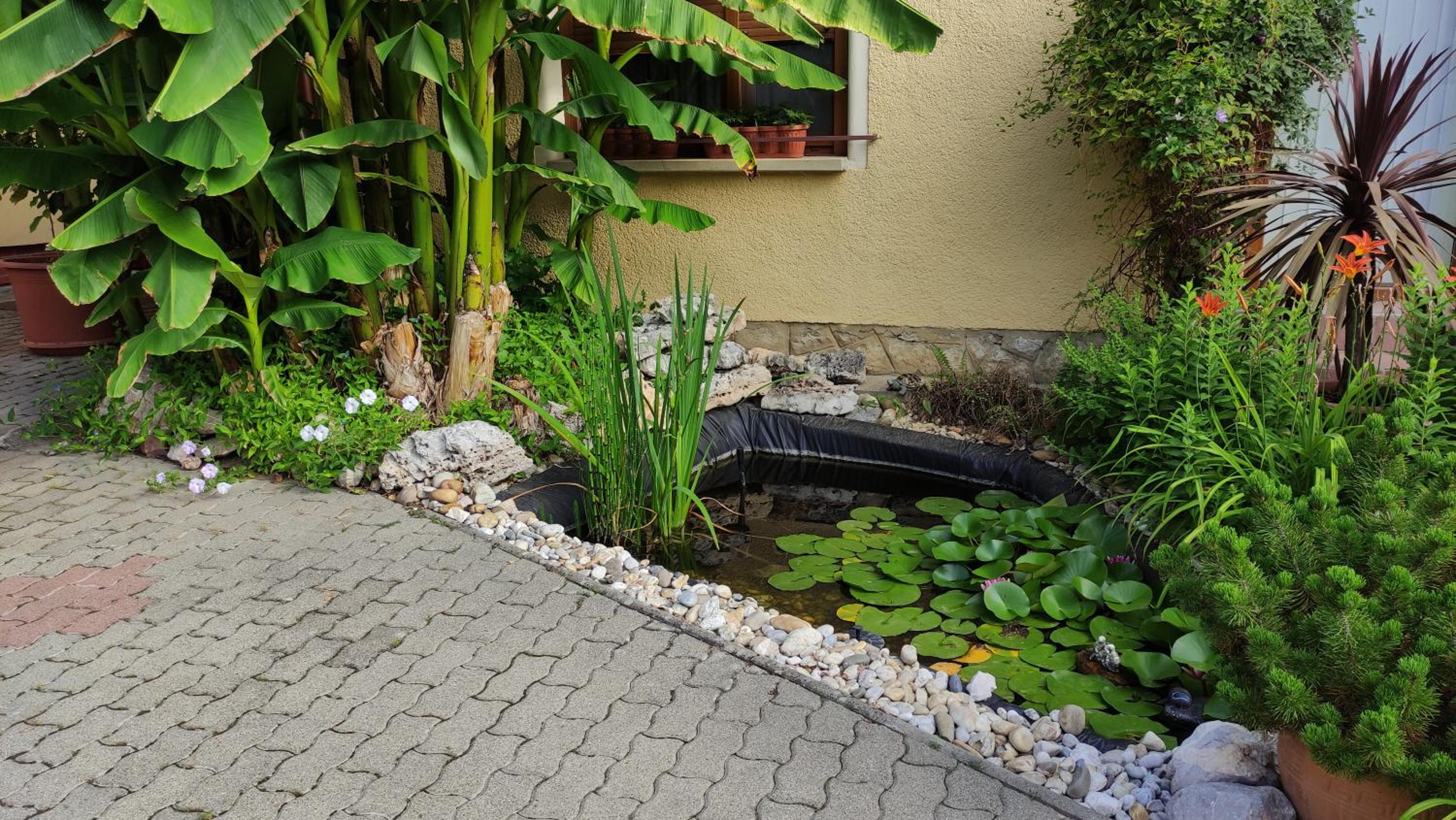 Photo 19