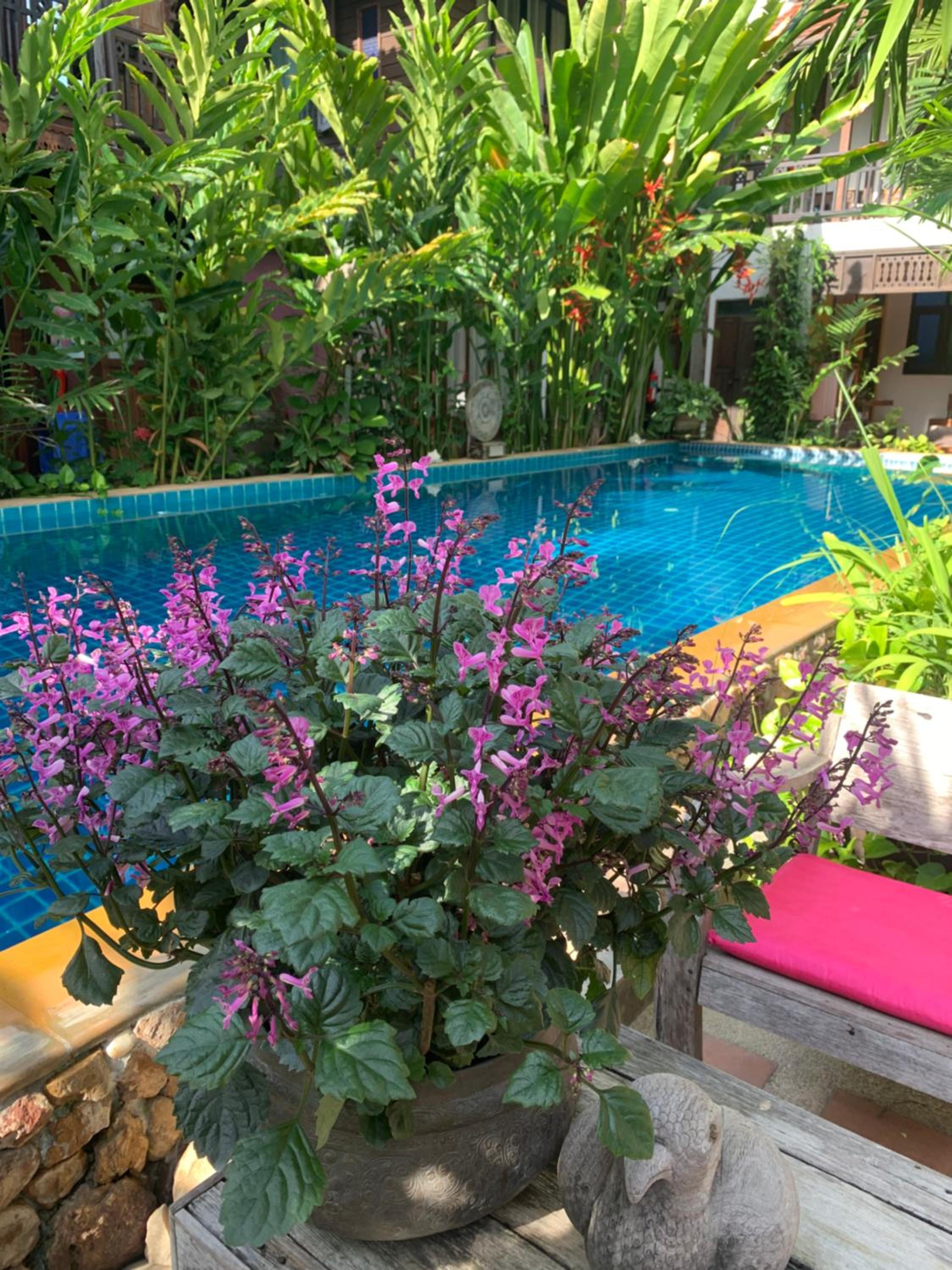 Hongkhao Village