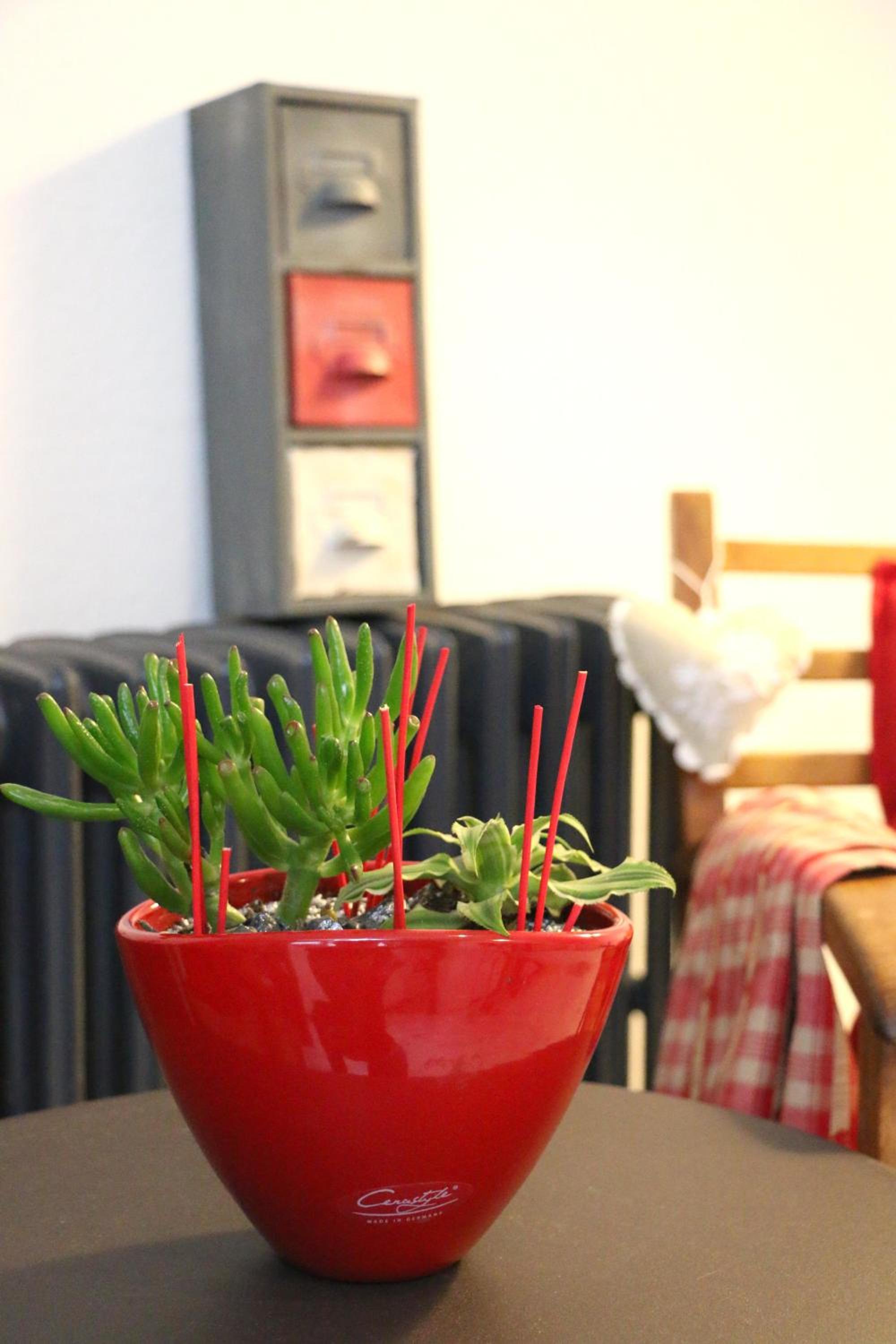 Guesthouse Le Vauban