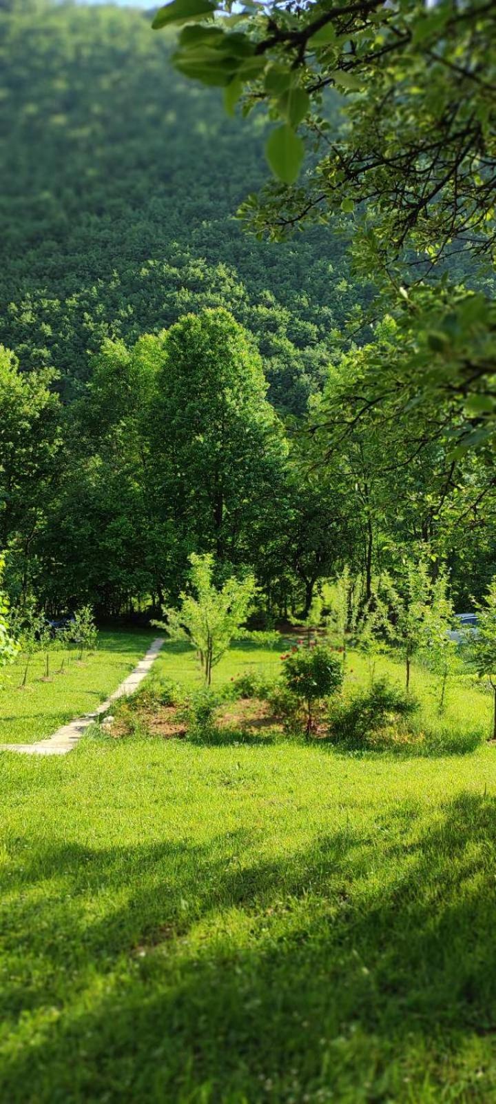 MontenegrinaBiH, Petrovici, Istocno Sarajevo