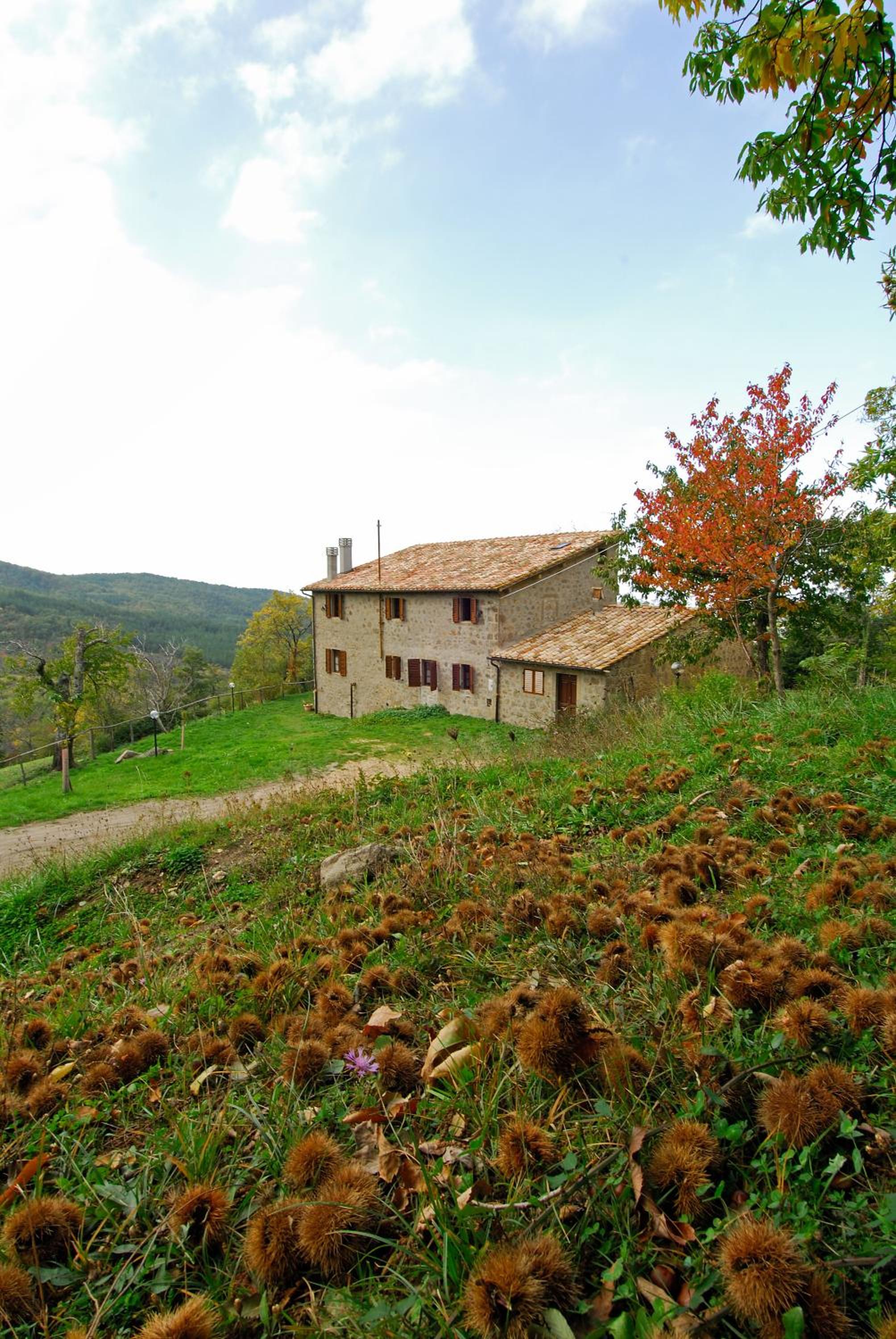 AGRITURISMO LA PIAGGIA appartamenti a Vivo D'Orcia view 3
