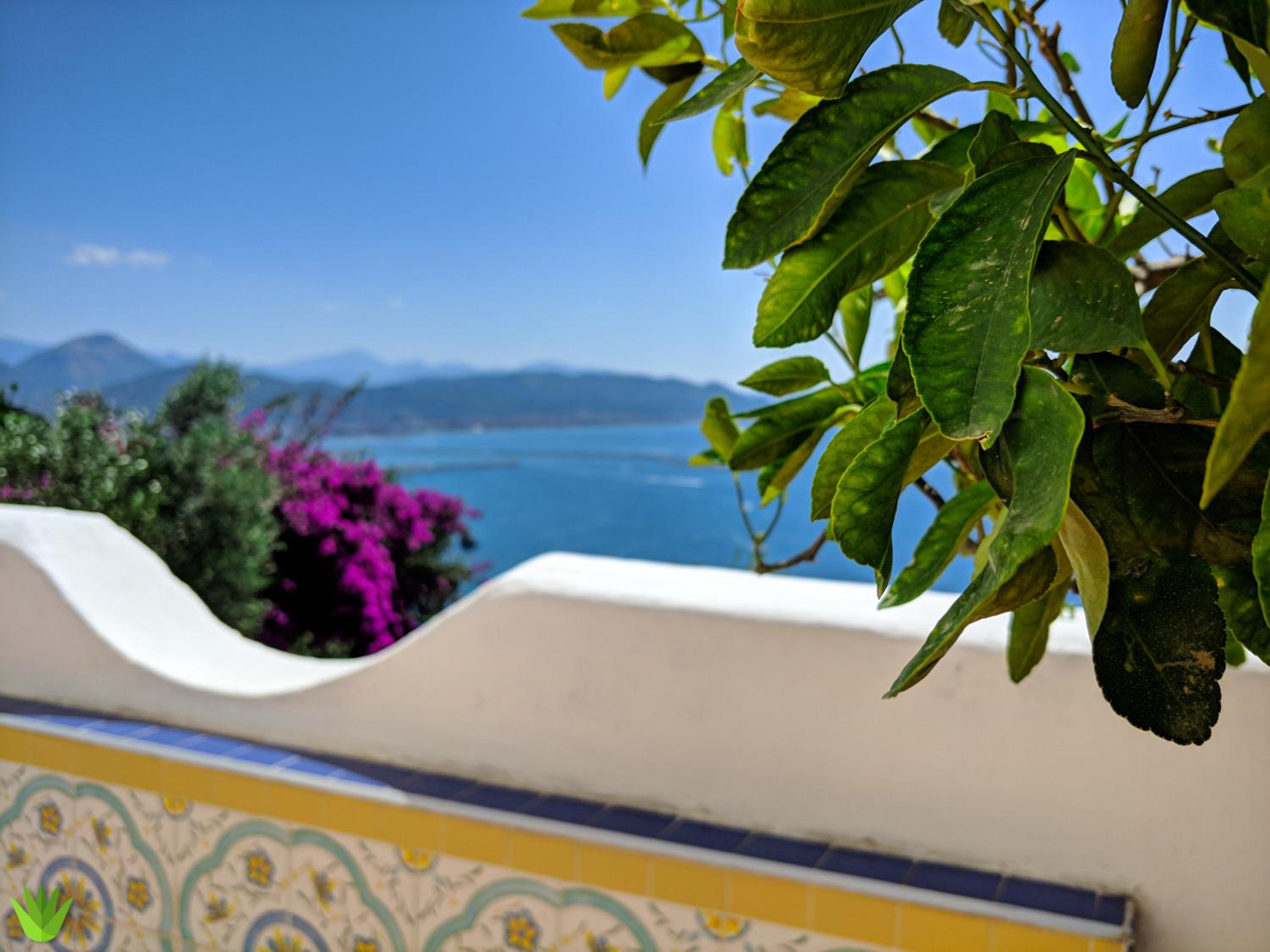 Villa delle Agavi view 4