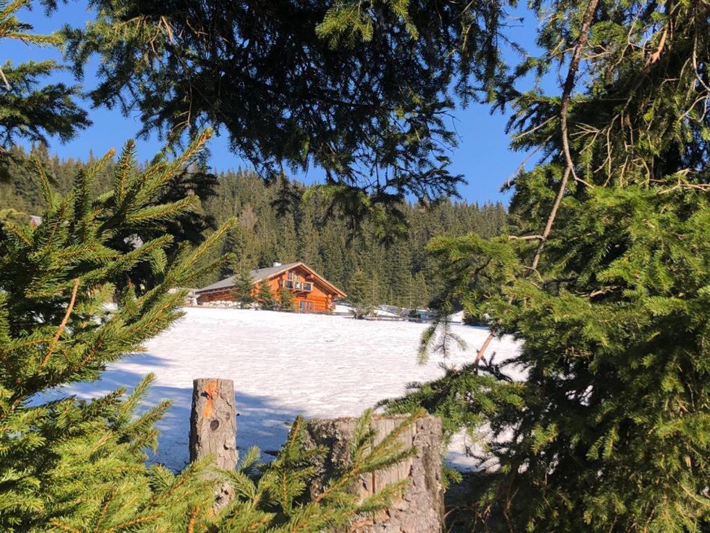 Schönberghütte