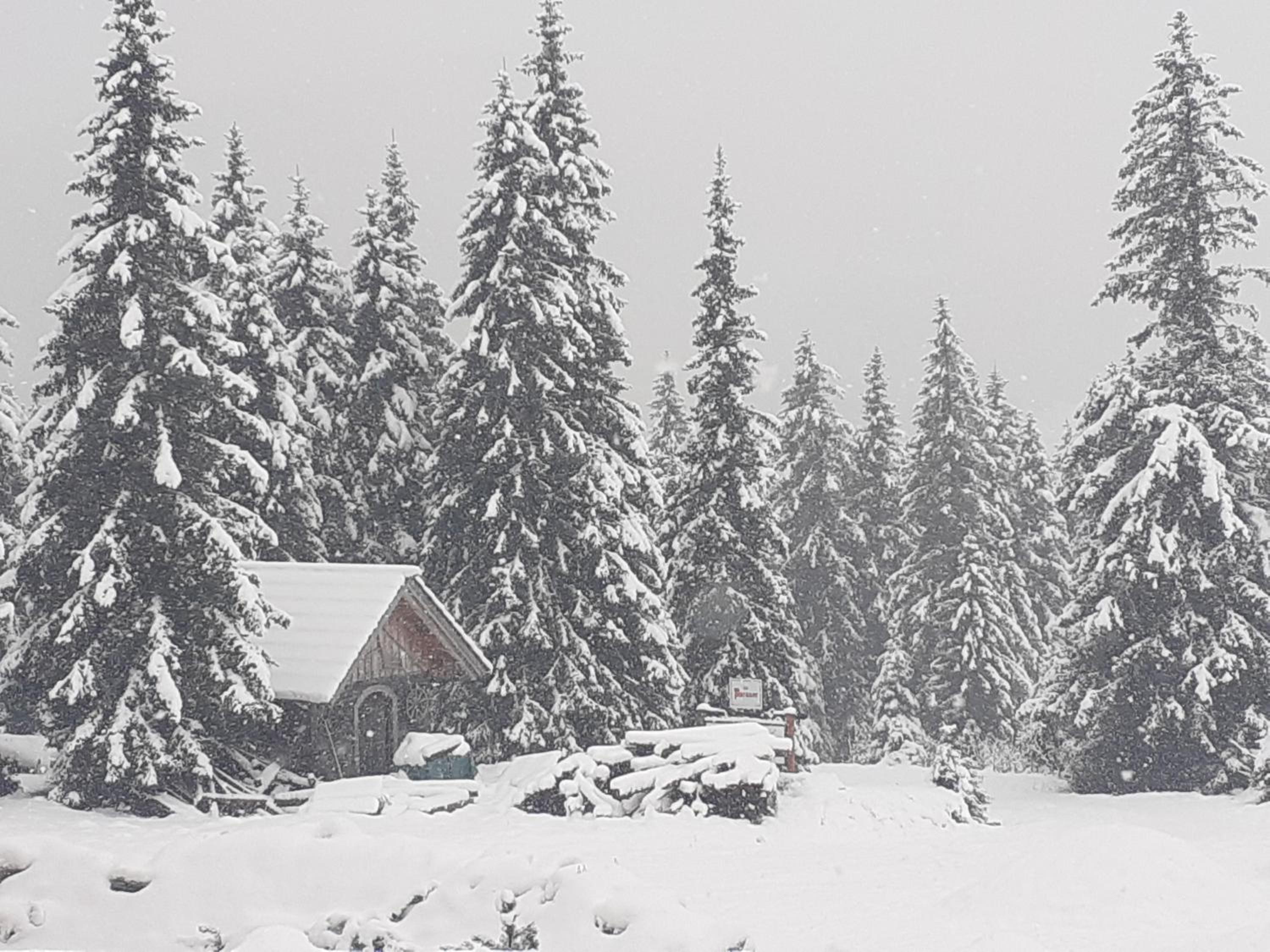 Schönberghütte