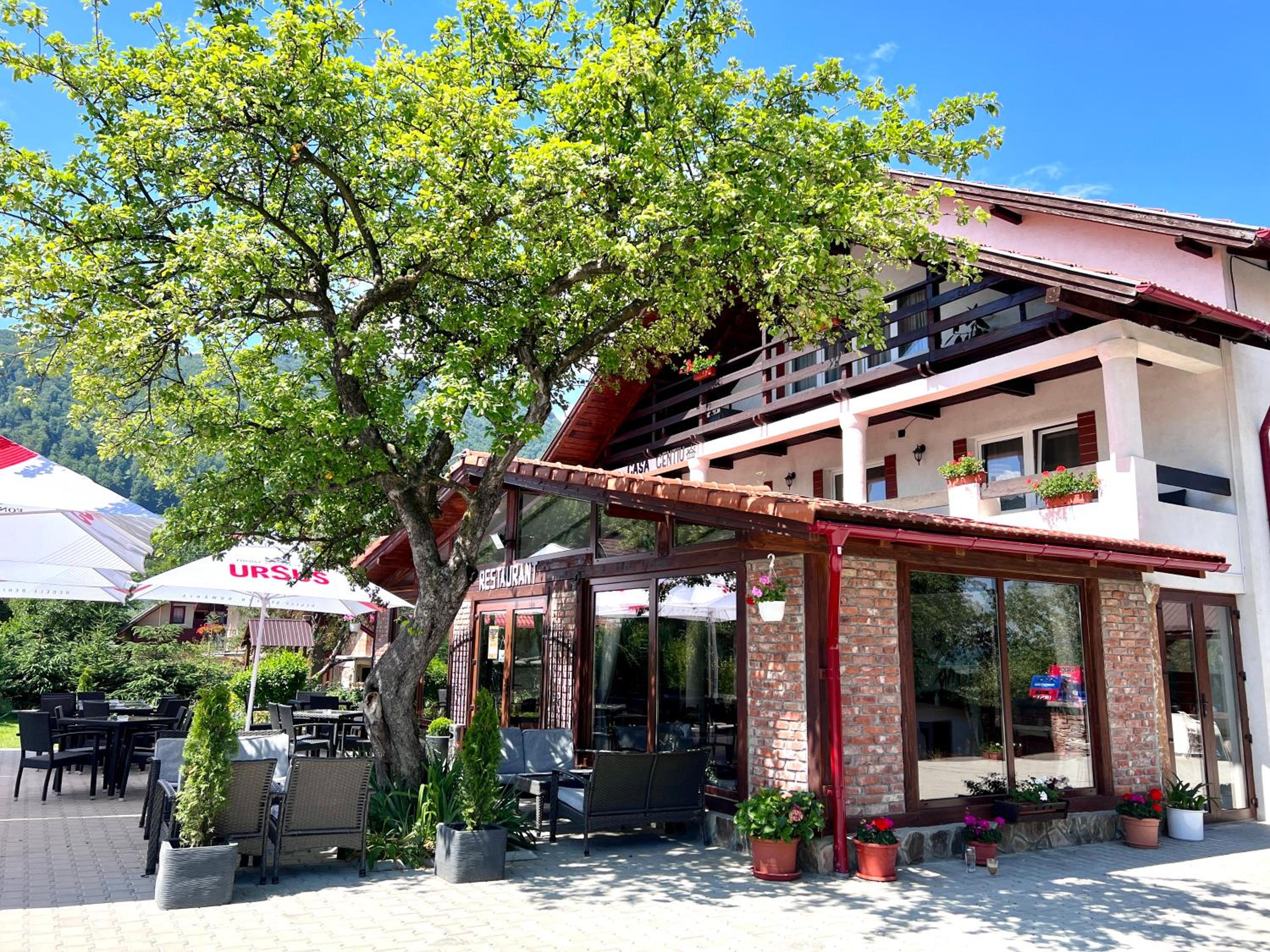 Casa Cenţiu, photo 43