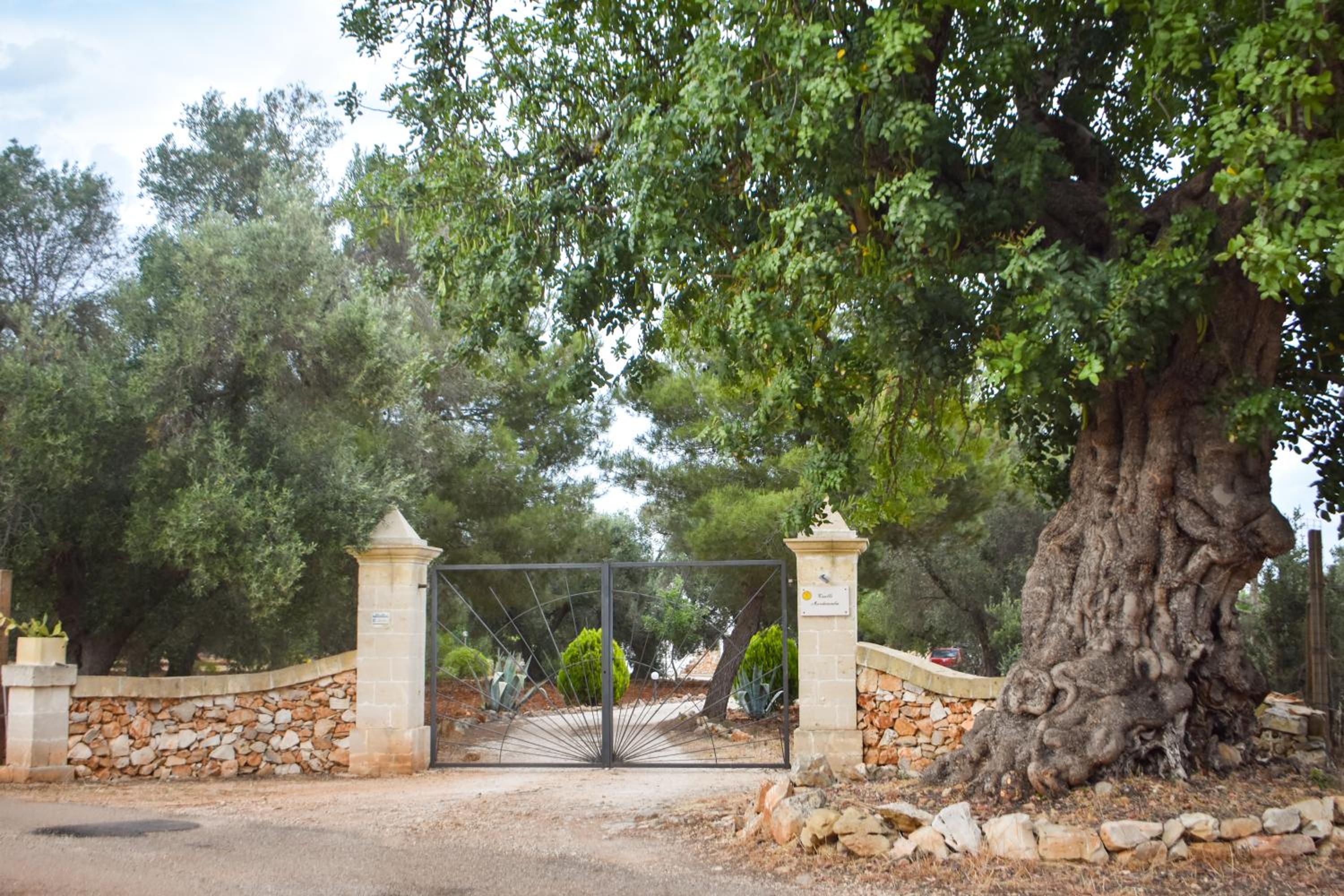 Photo 45