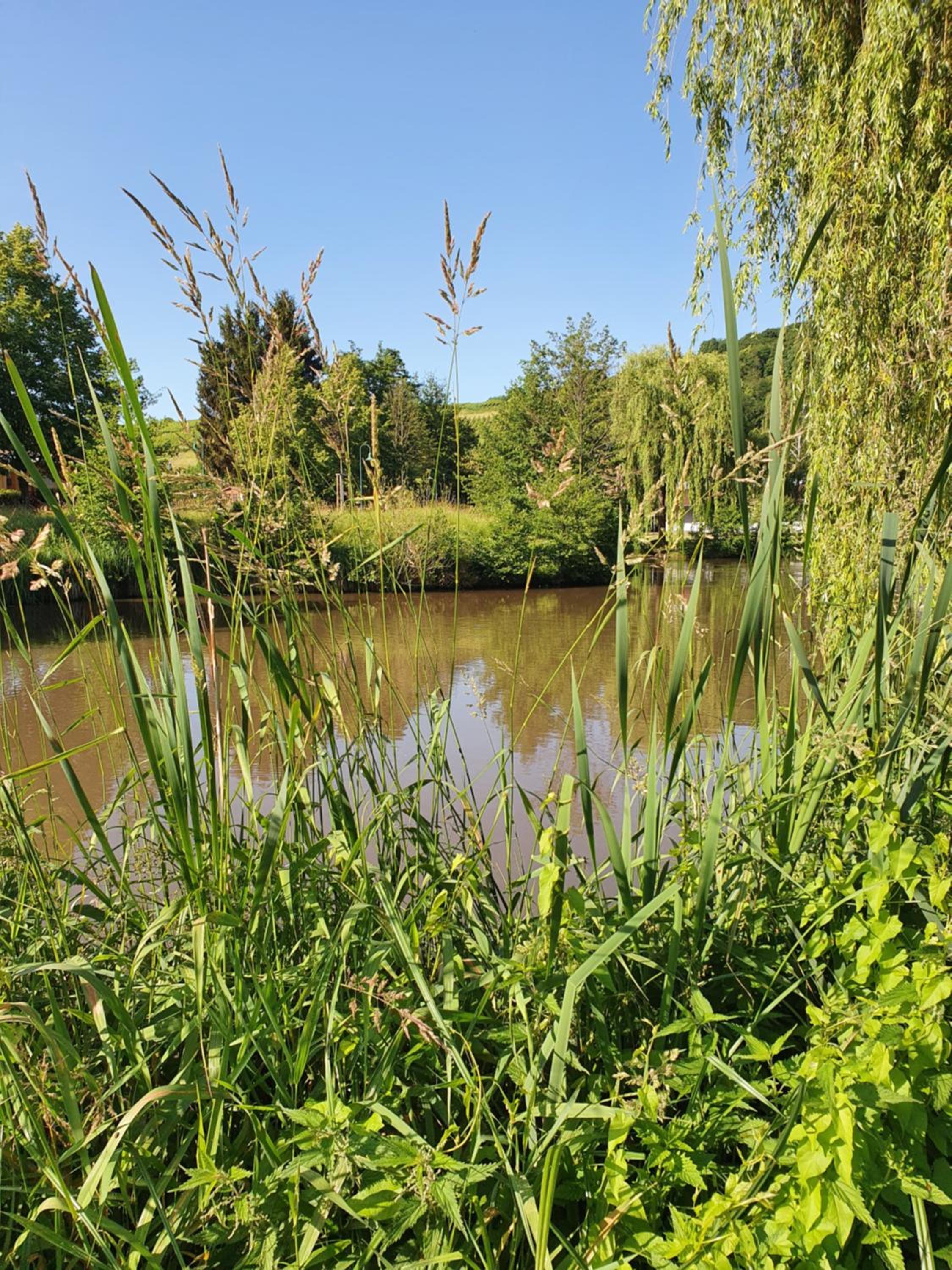 Alte Goldschmiede Südpfalz