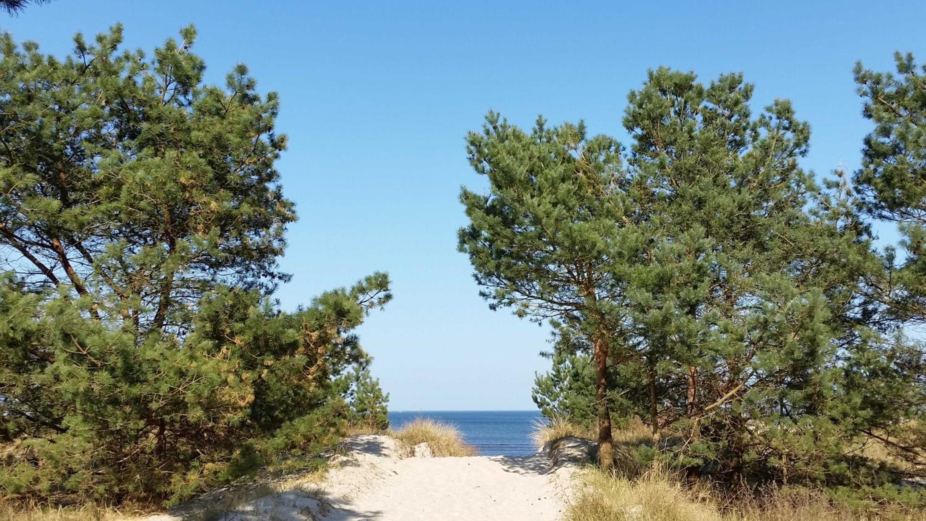 Fewo Ostseeperle 14 view 5