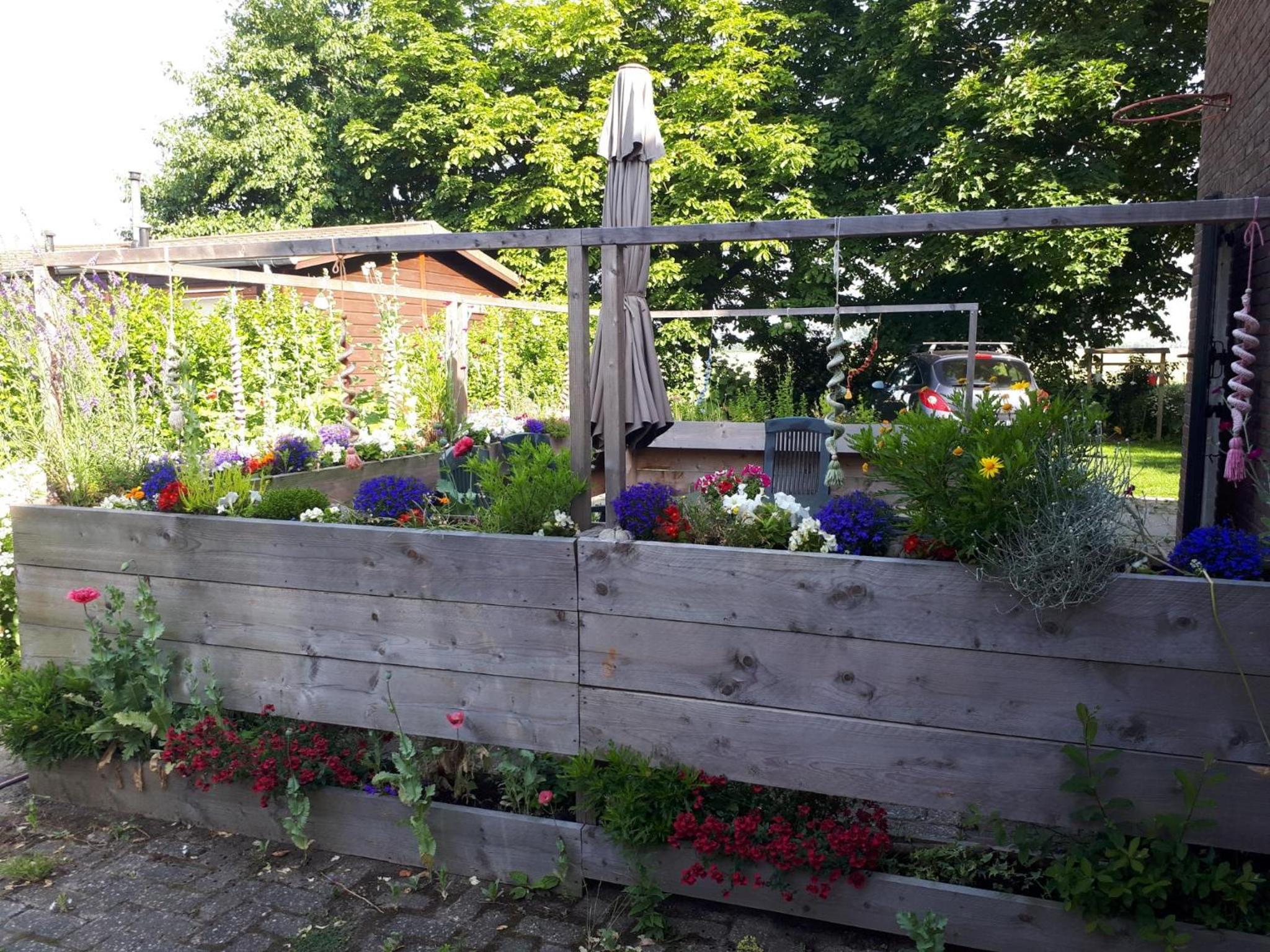 Photo 42