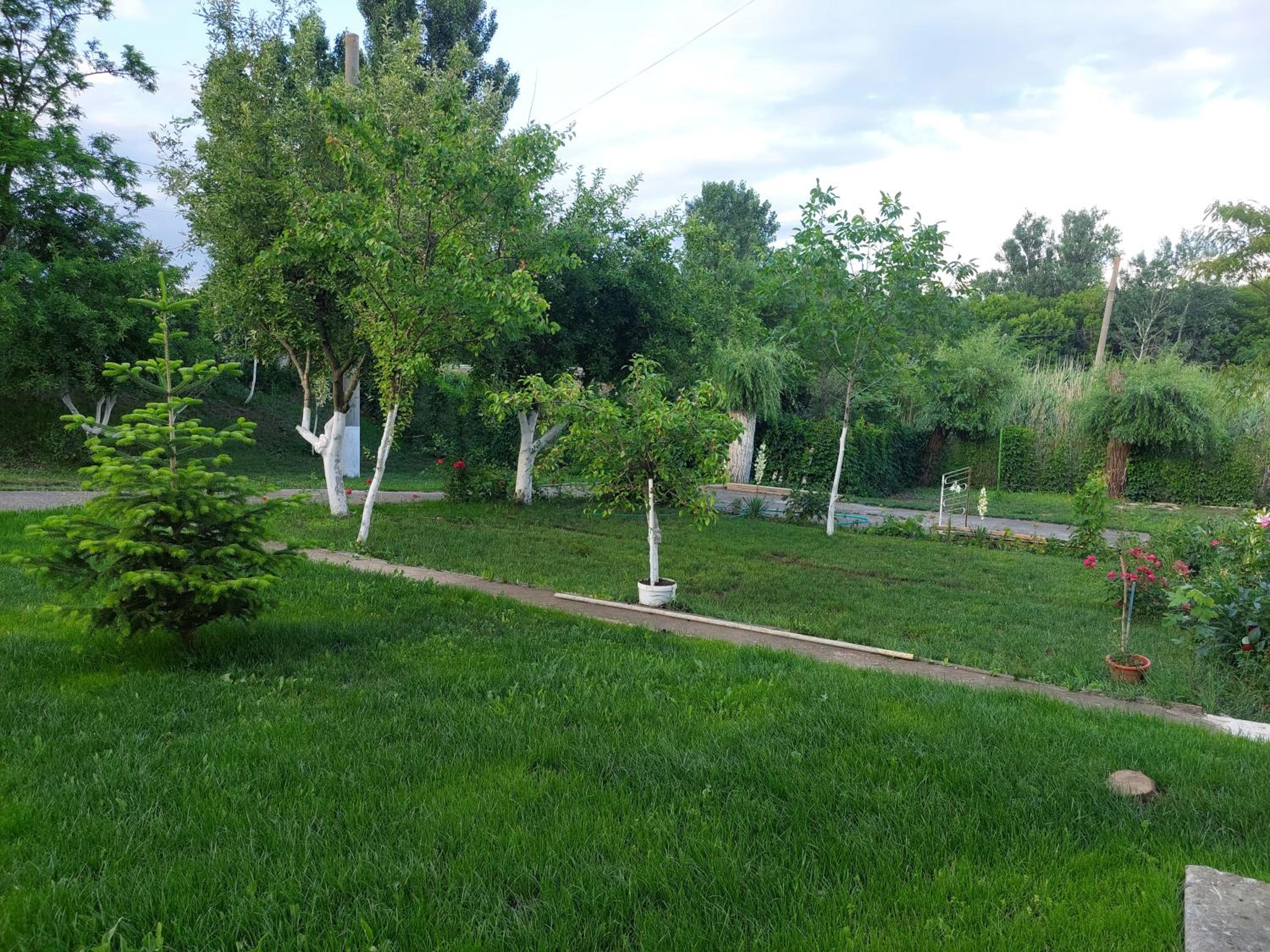 Photo 52