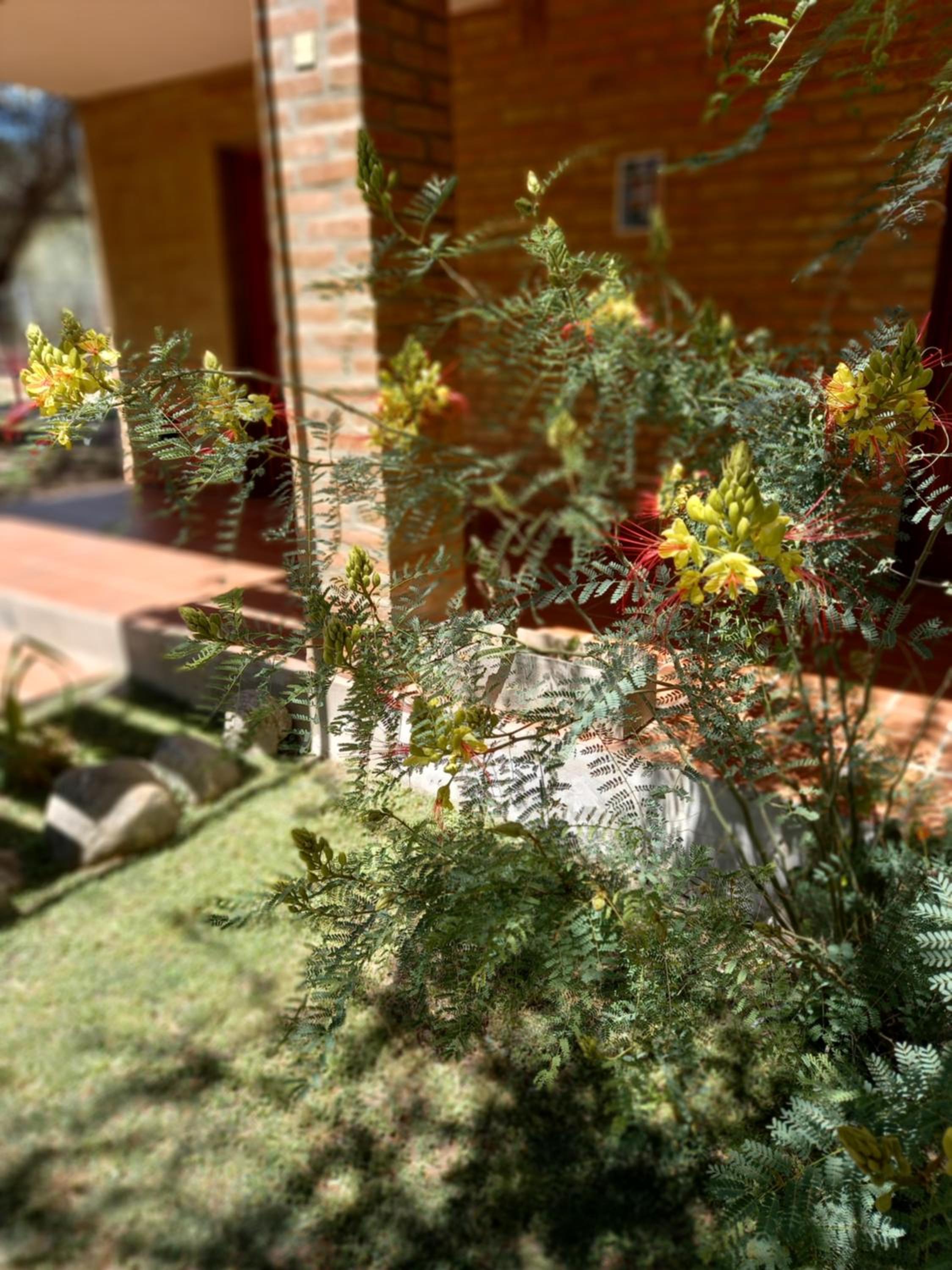 Cabañas La Belen