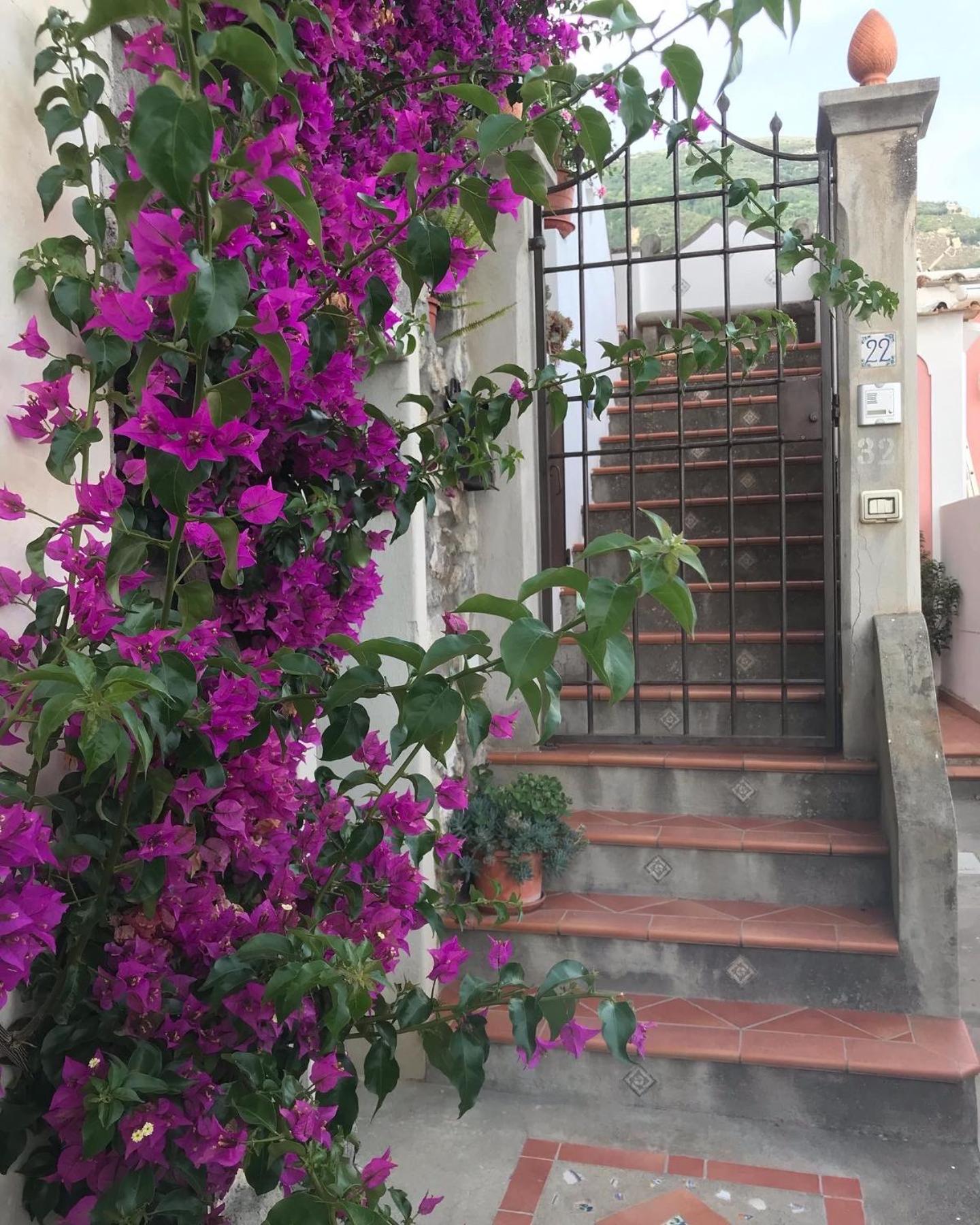 Nido d'amore - PositanoHouse view 2