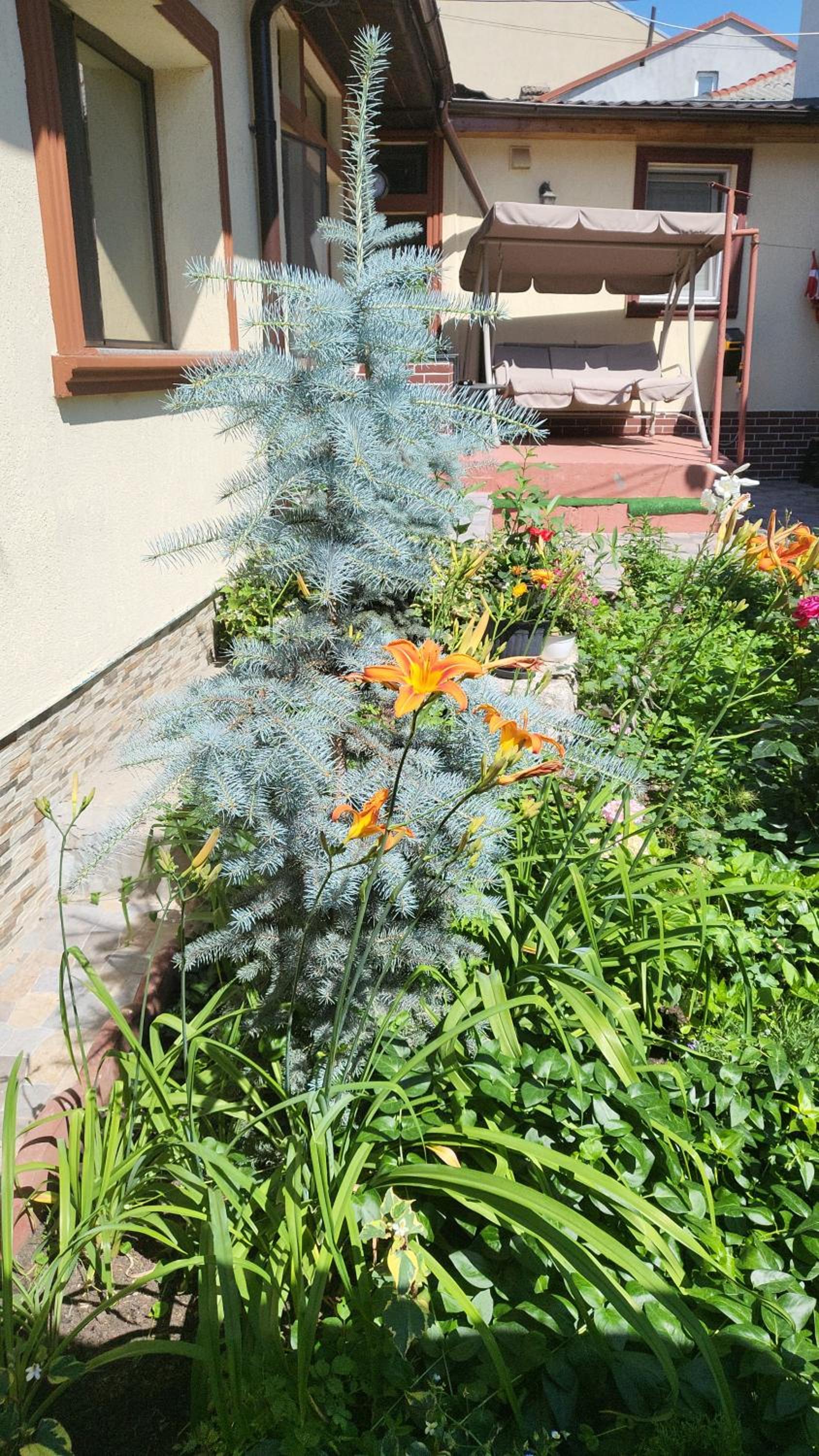 Casa Kogalniceanu view 5