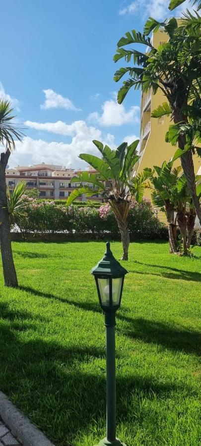 Meia Praia Terrace view 3