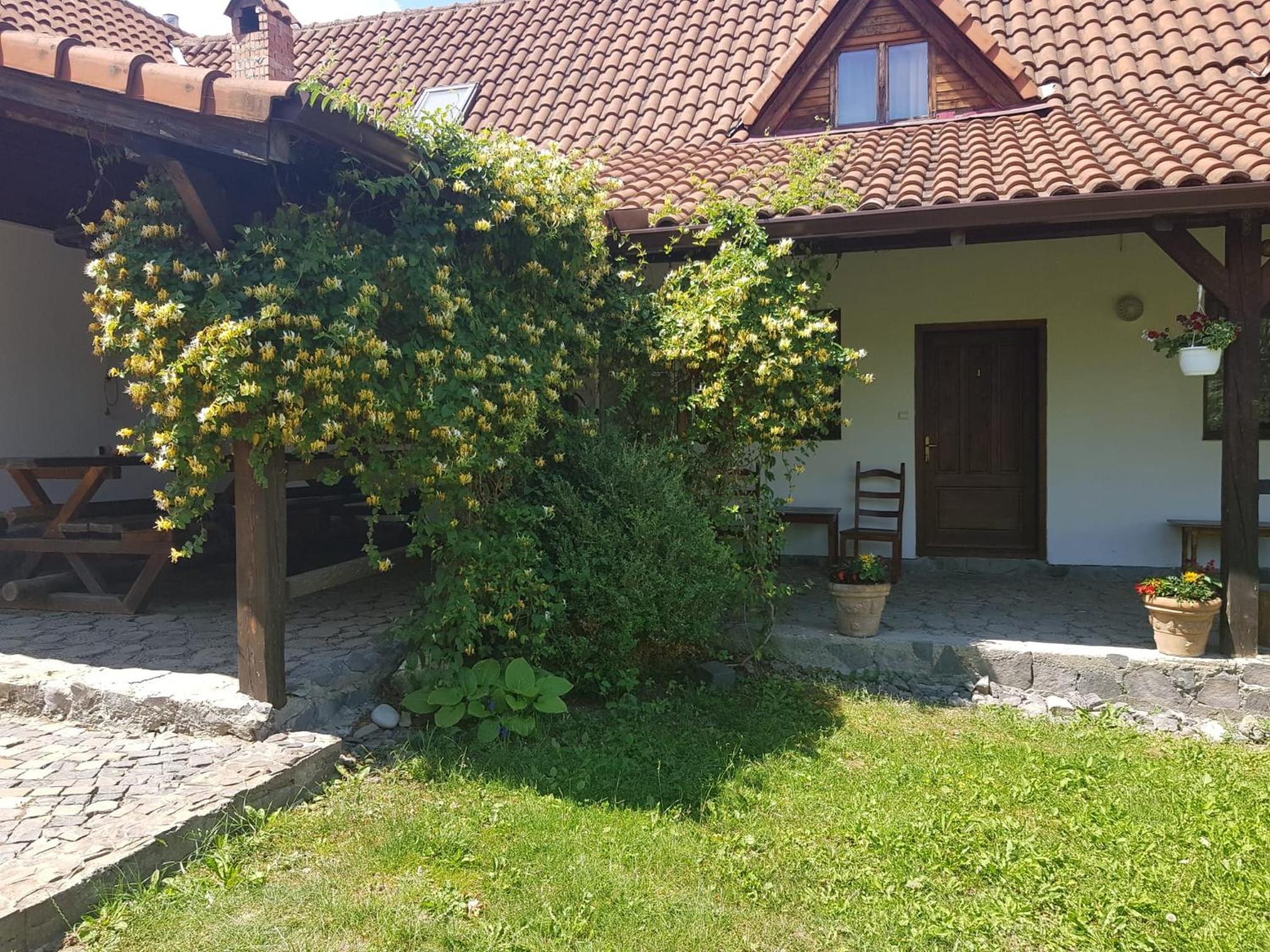 Photo 22