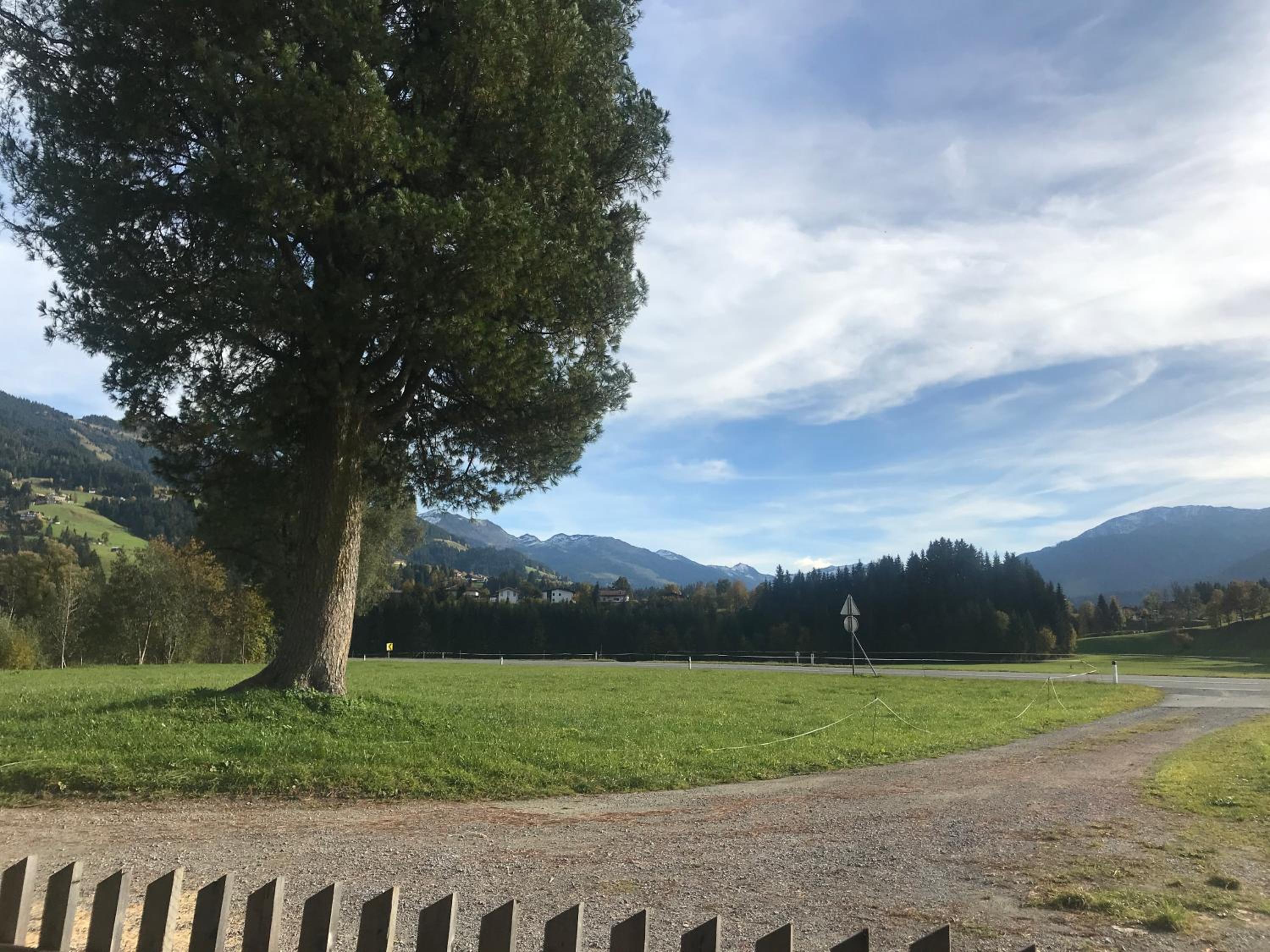 The Farm