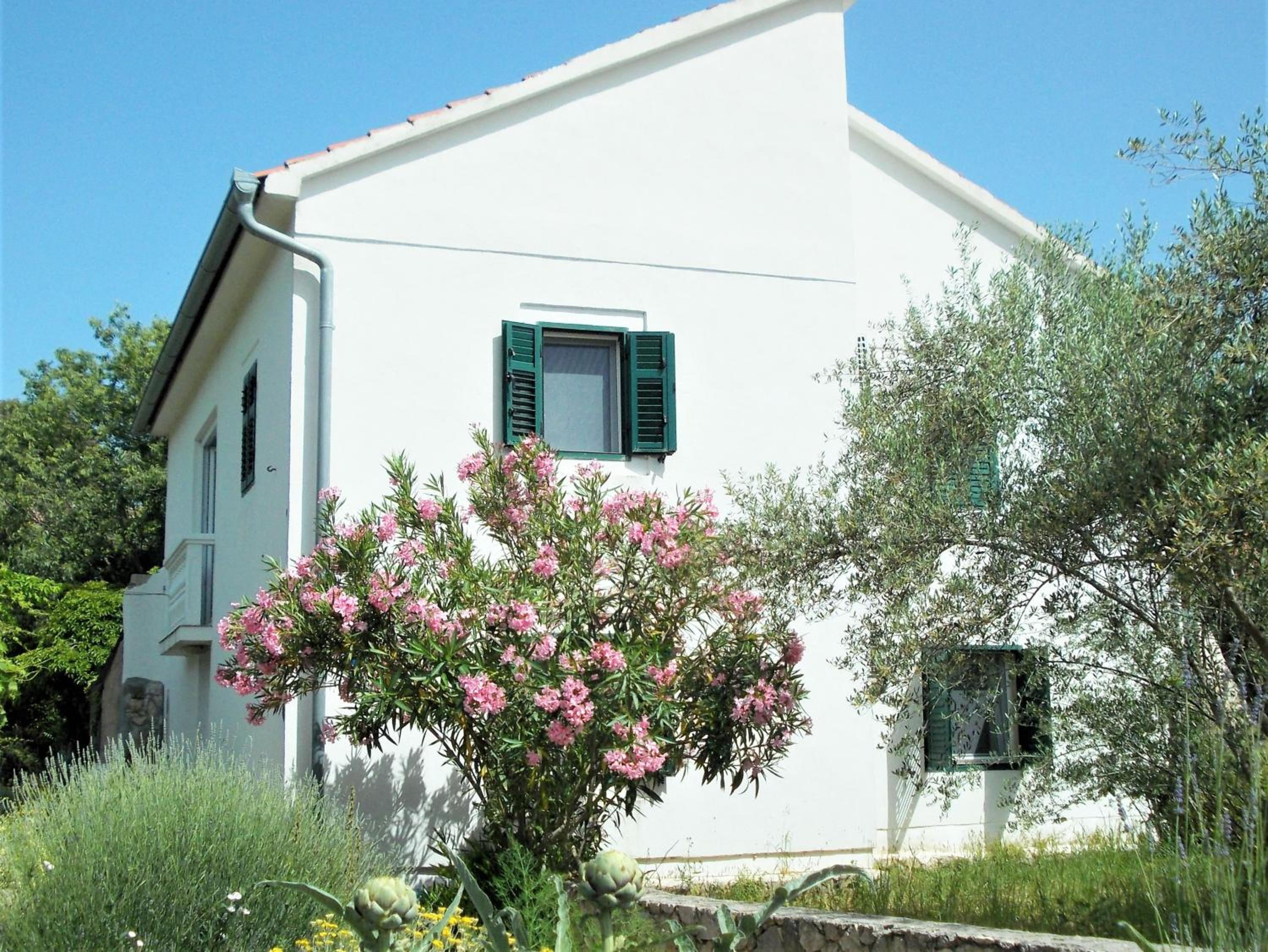 Rustic Holiday Home Miketa view 3