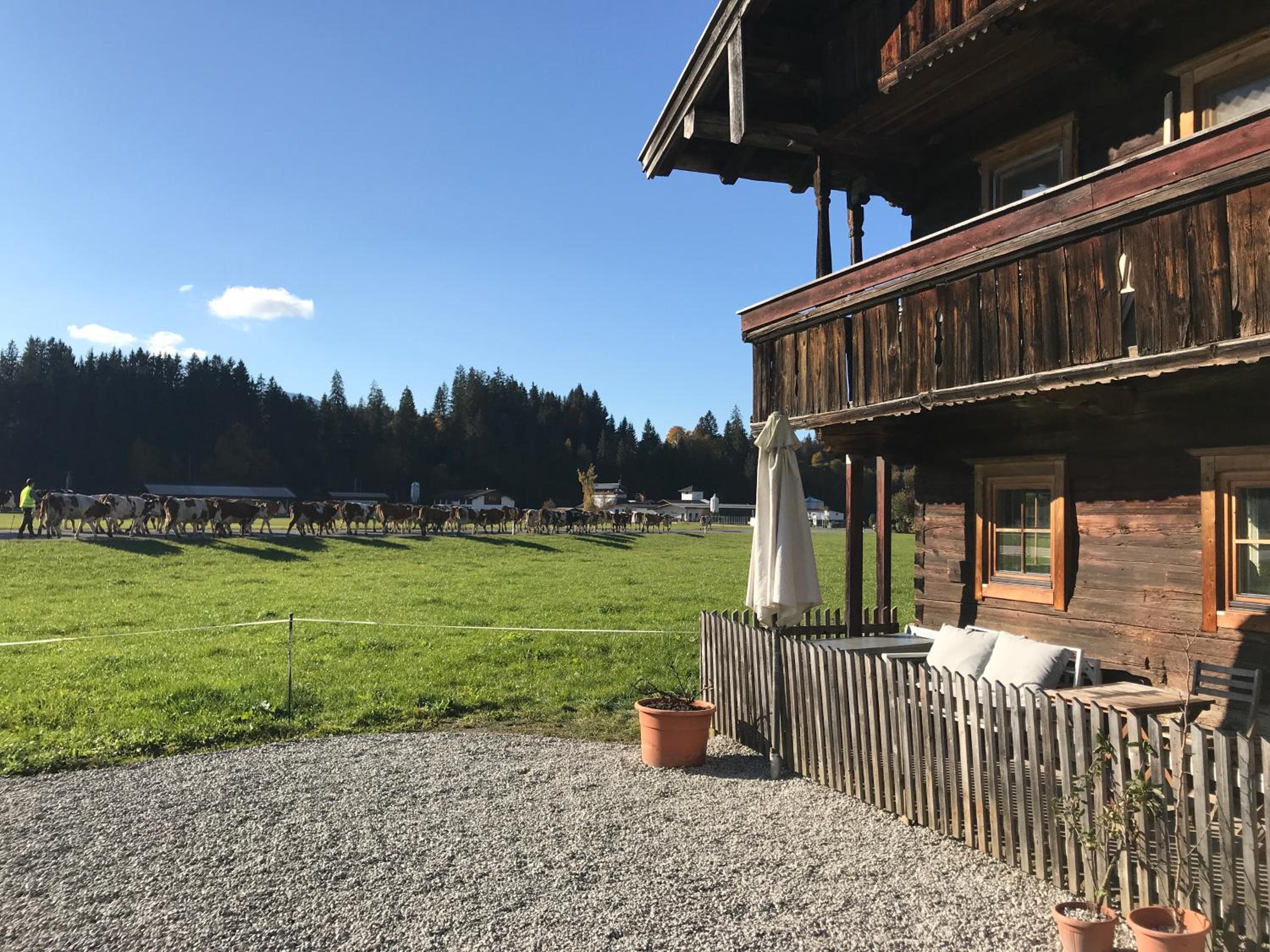 The Farm