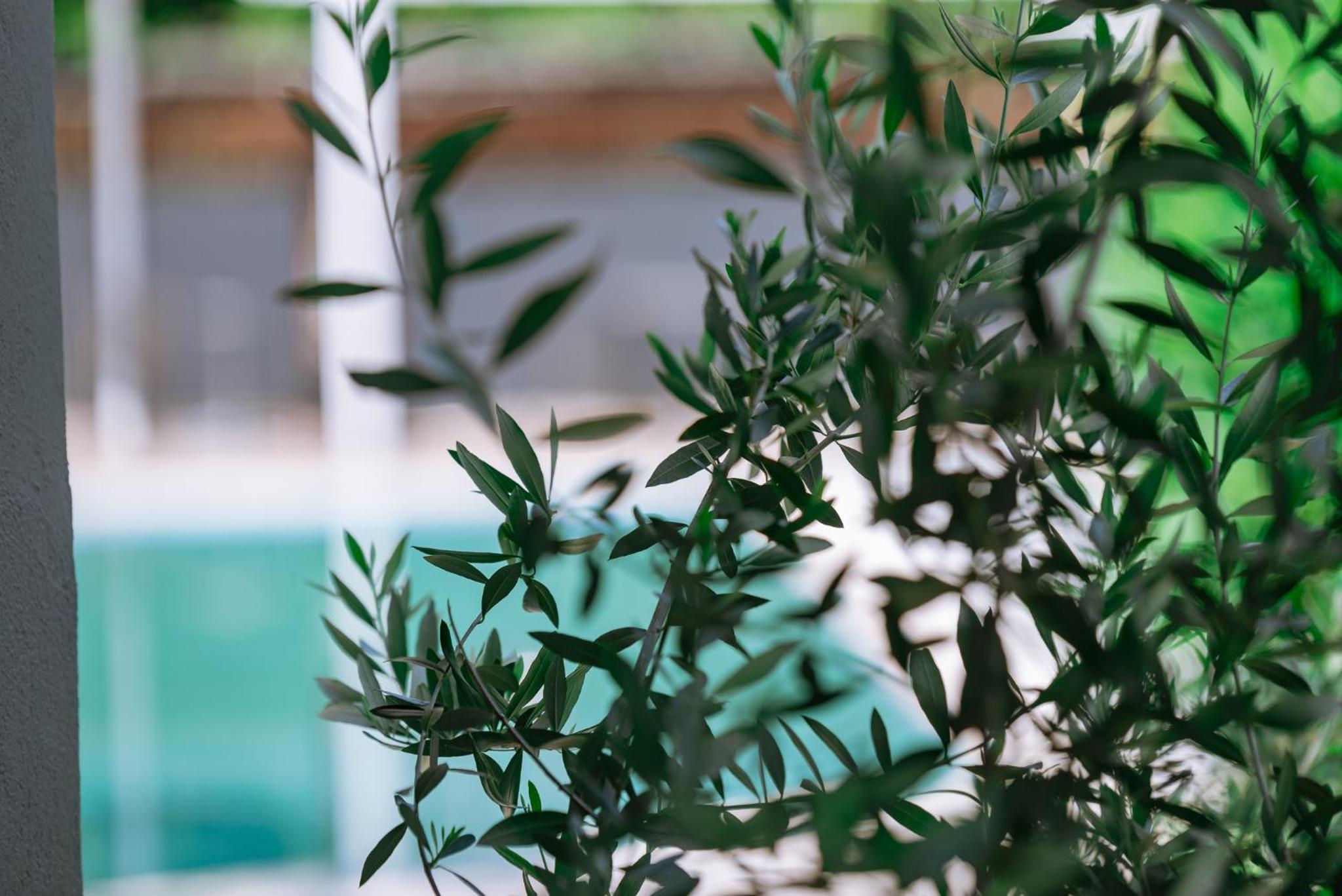 Inspira Boutique Hotel Thassos - Adults Only