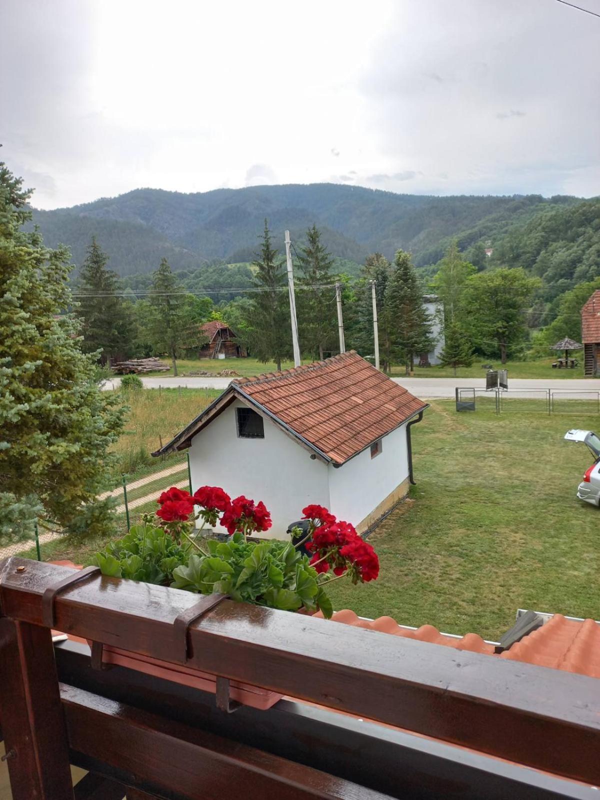 Photo 22