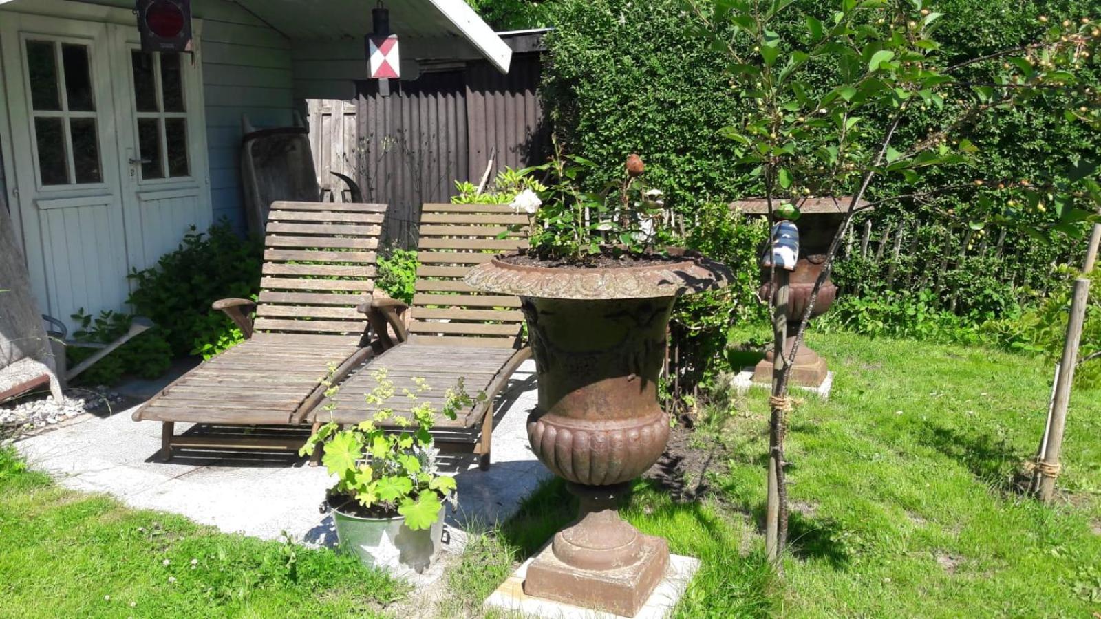Photo 12