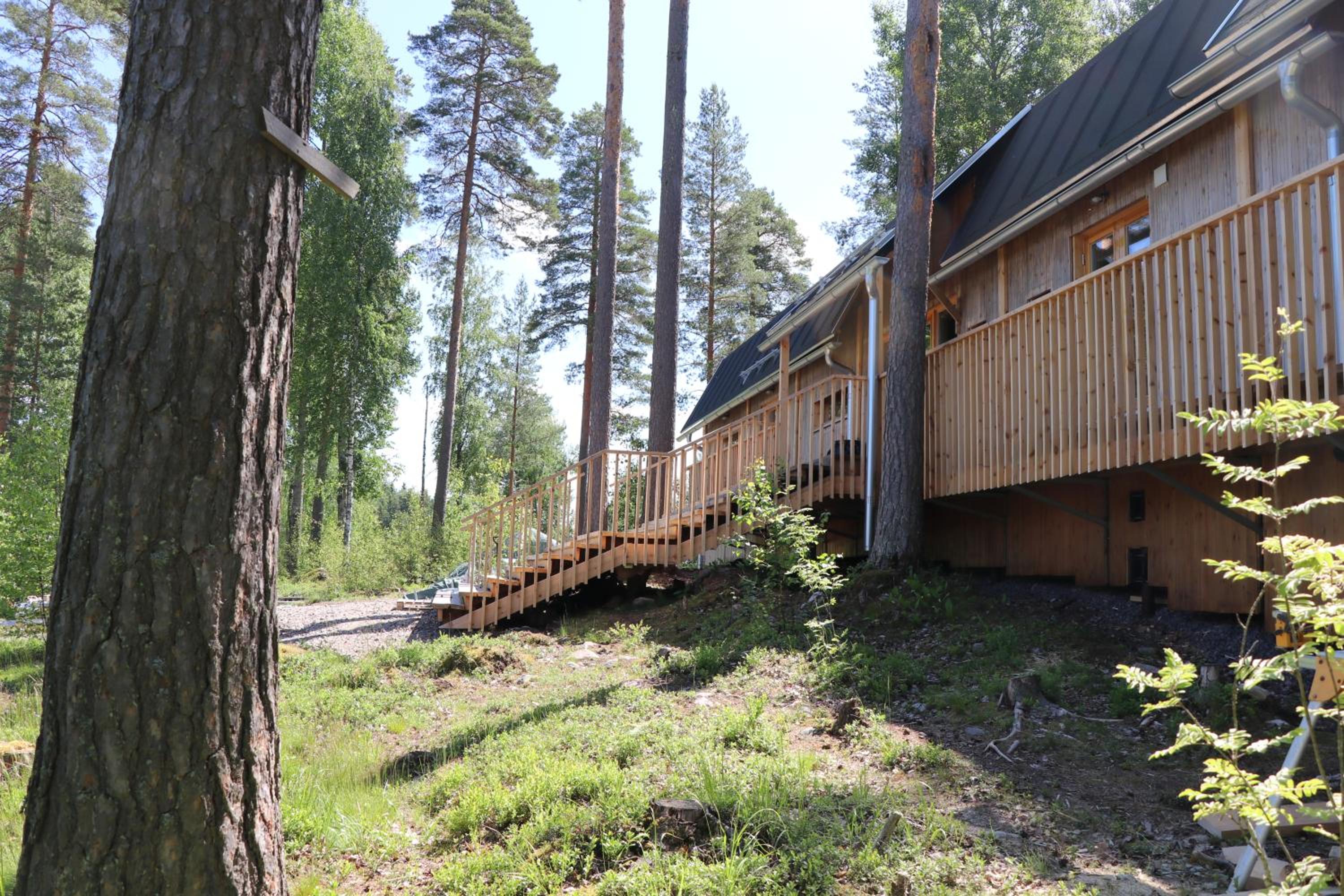 Photo 9