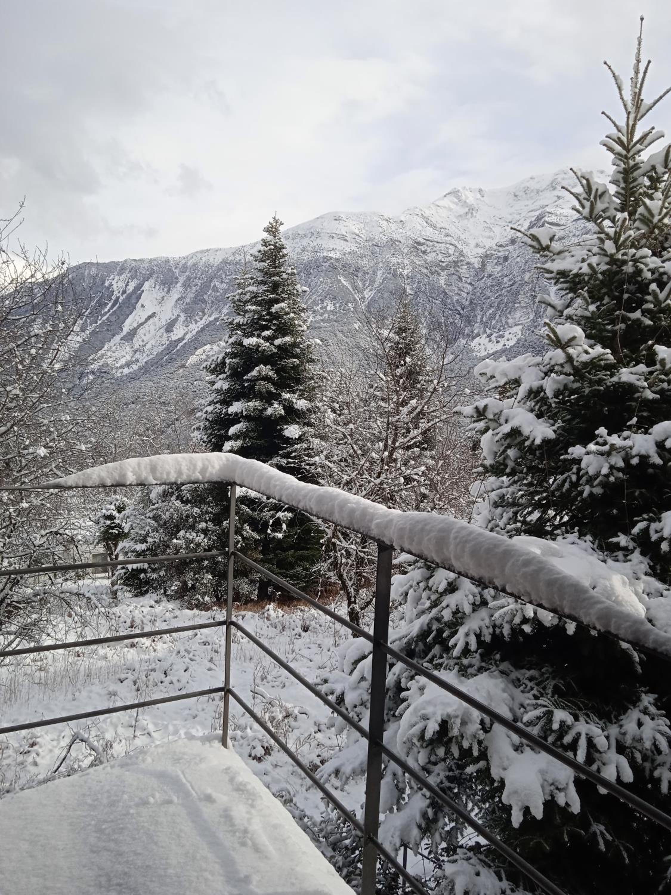 Enoro view 2