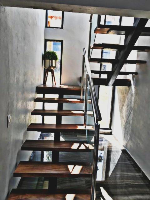 Photo 42
