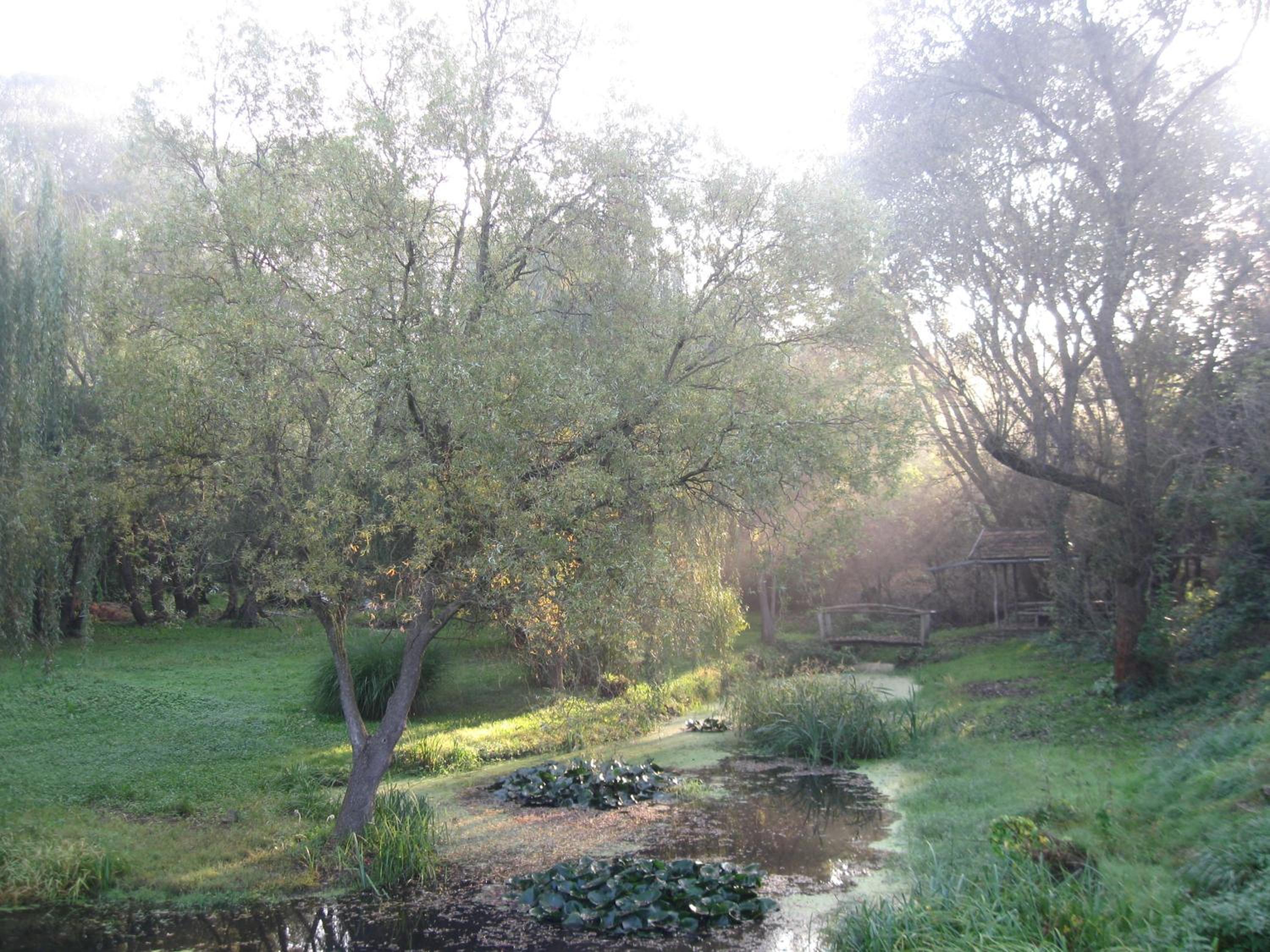 Photo 32