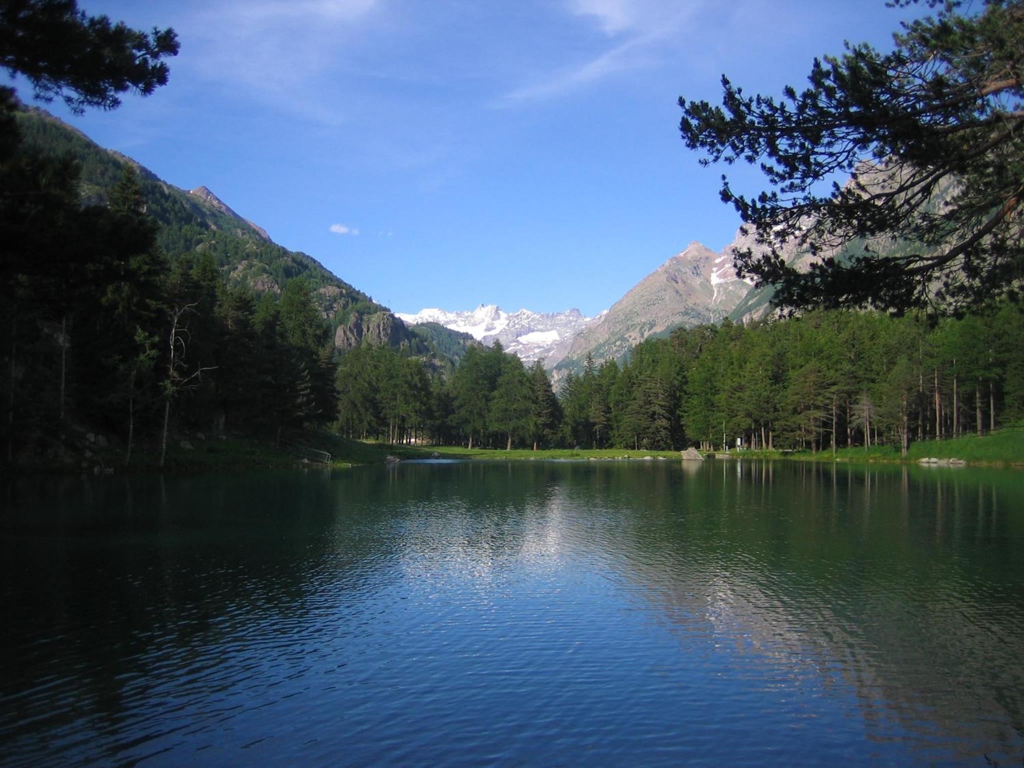Photo 22