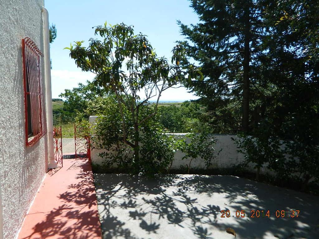Rustic cottage in Montalbano jonico view 5