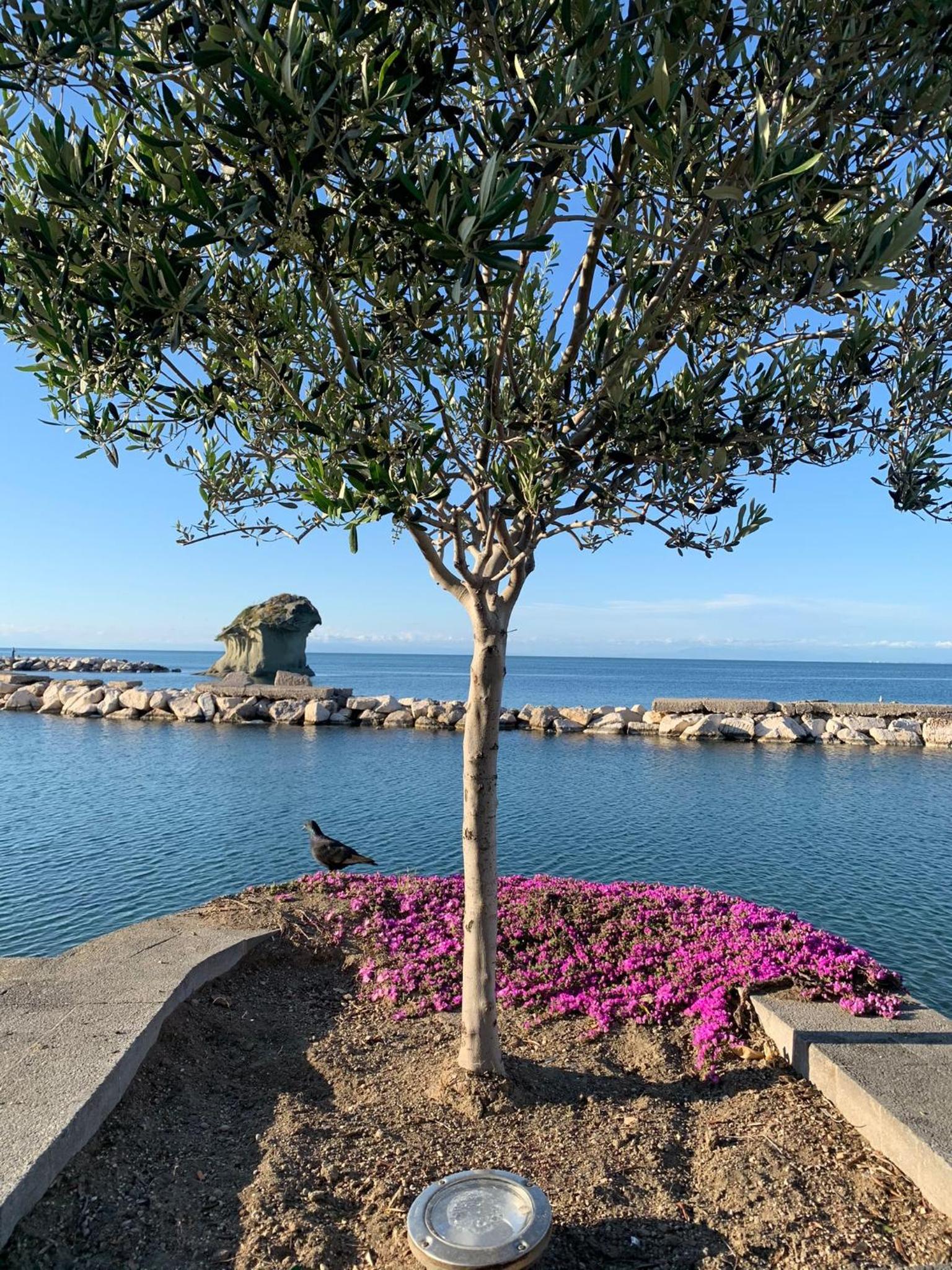 villa martina suite apartament