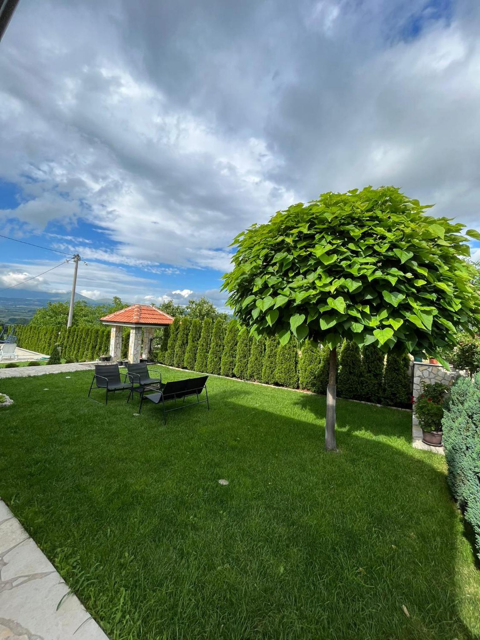 Djokić 2 sa bazenom view 4