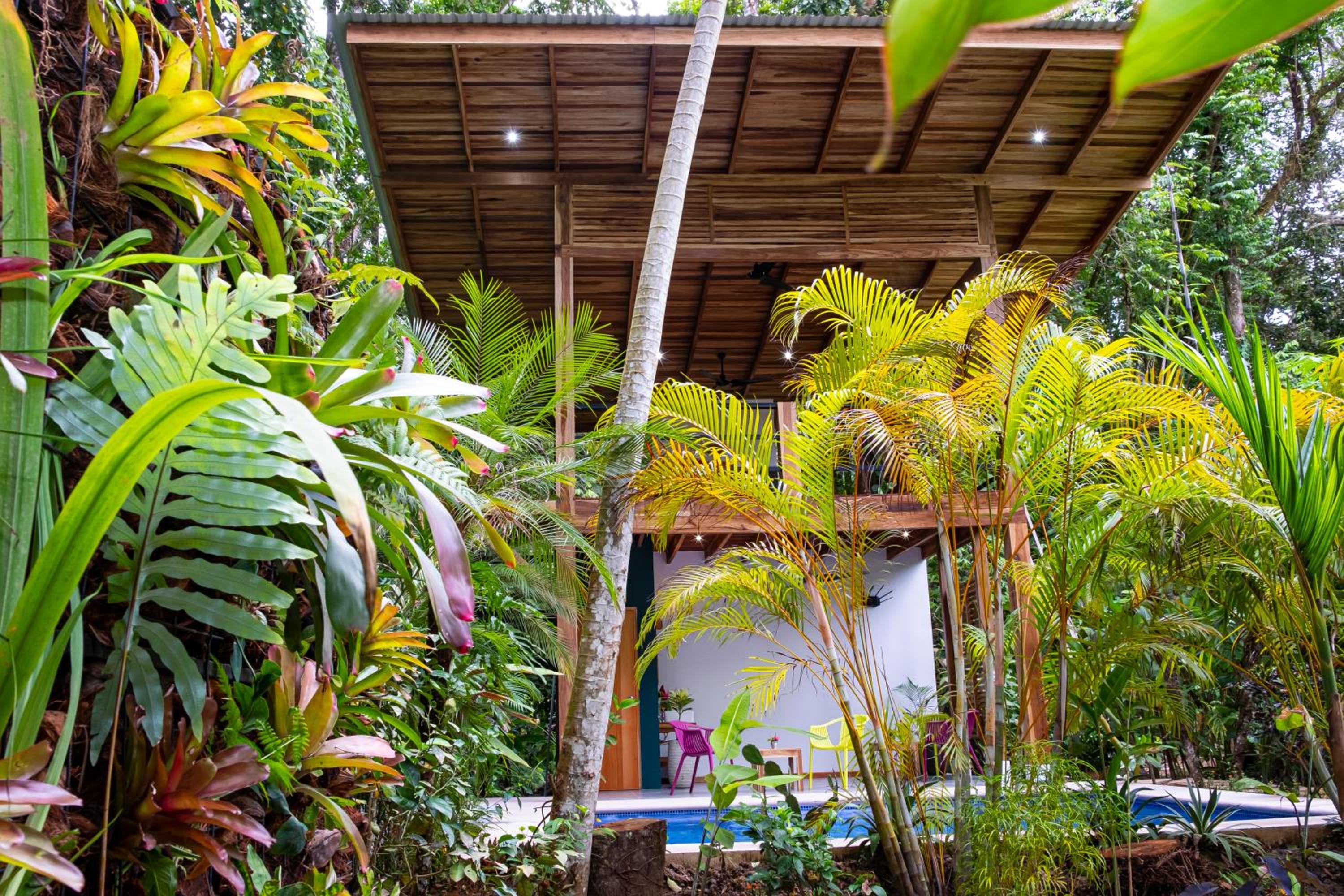 La Paz del Caribe Adults Only