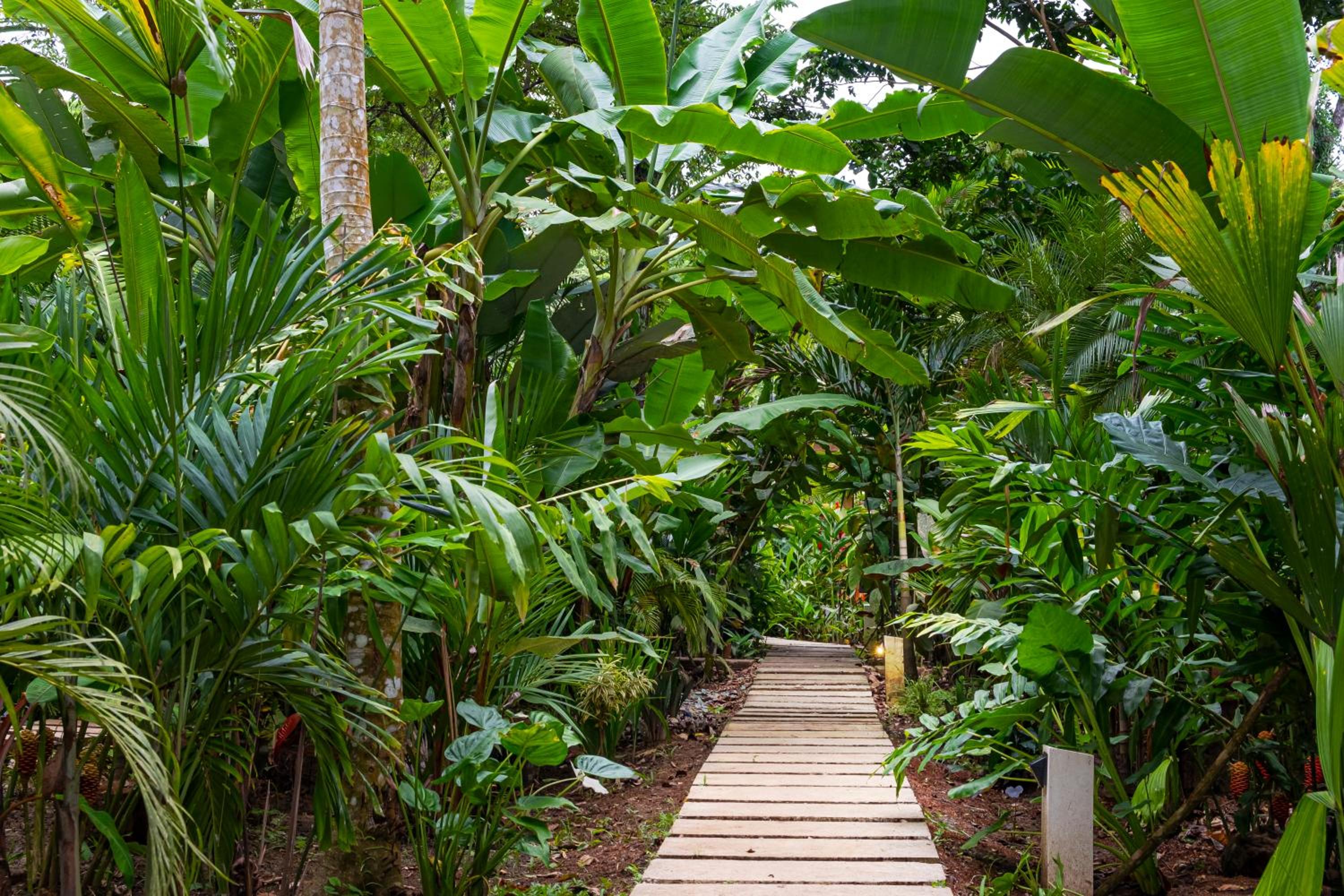 La Paz del Caribe Adults Only